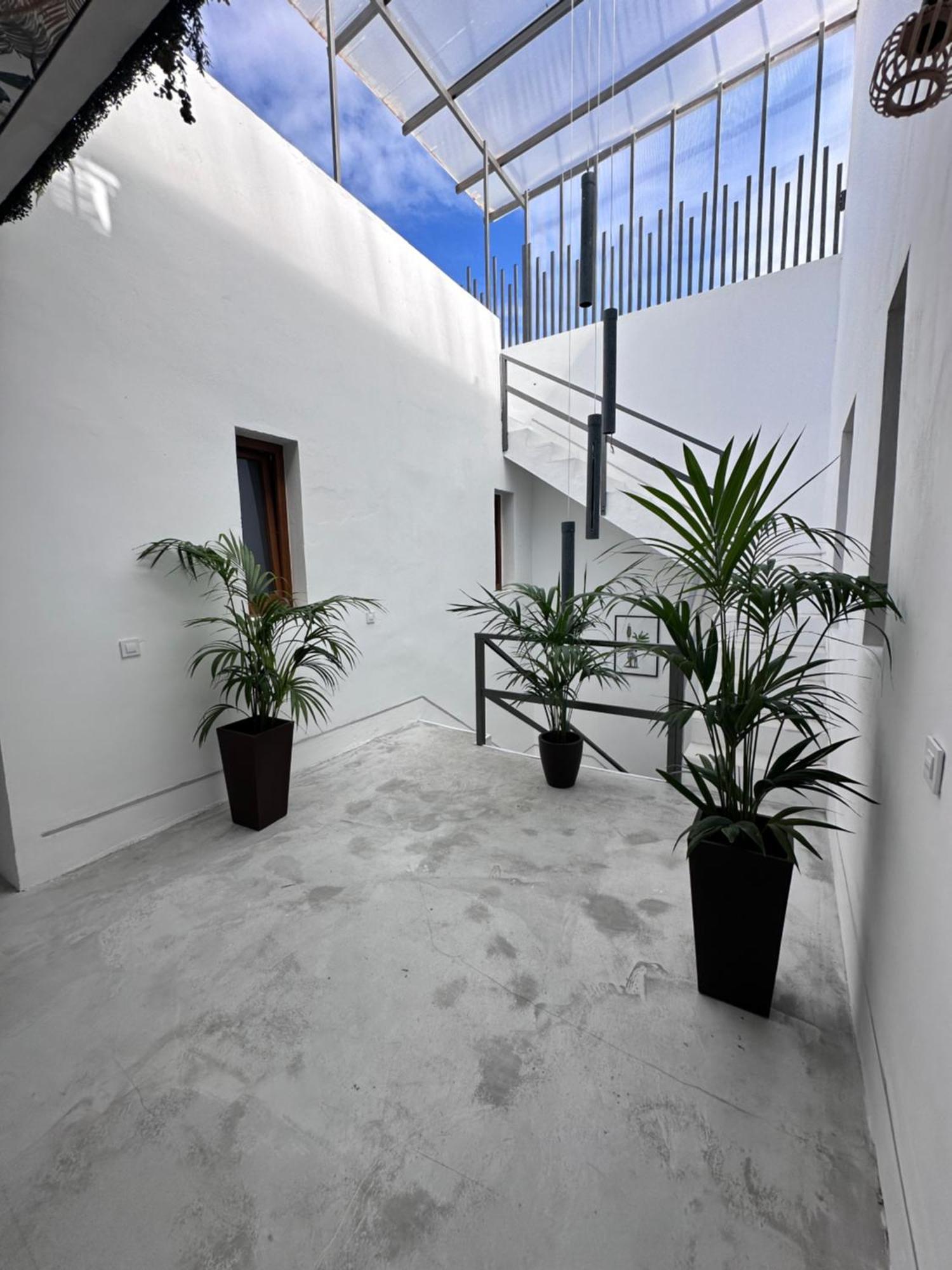 Appartement Euphorbia Los Silos