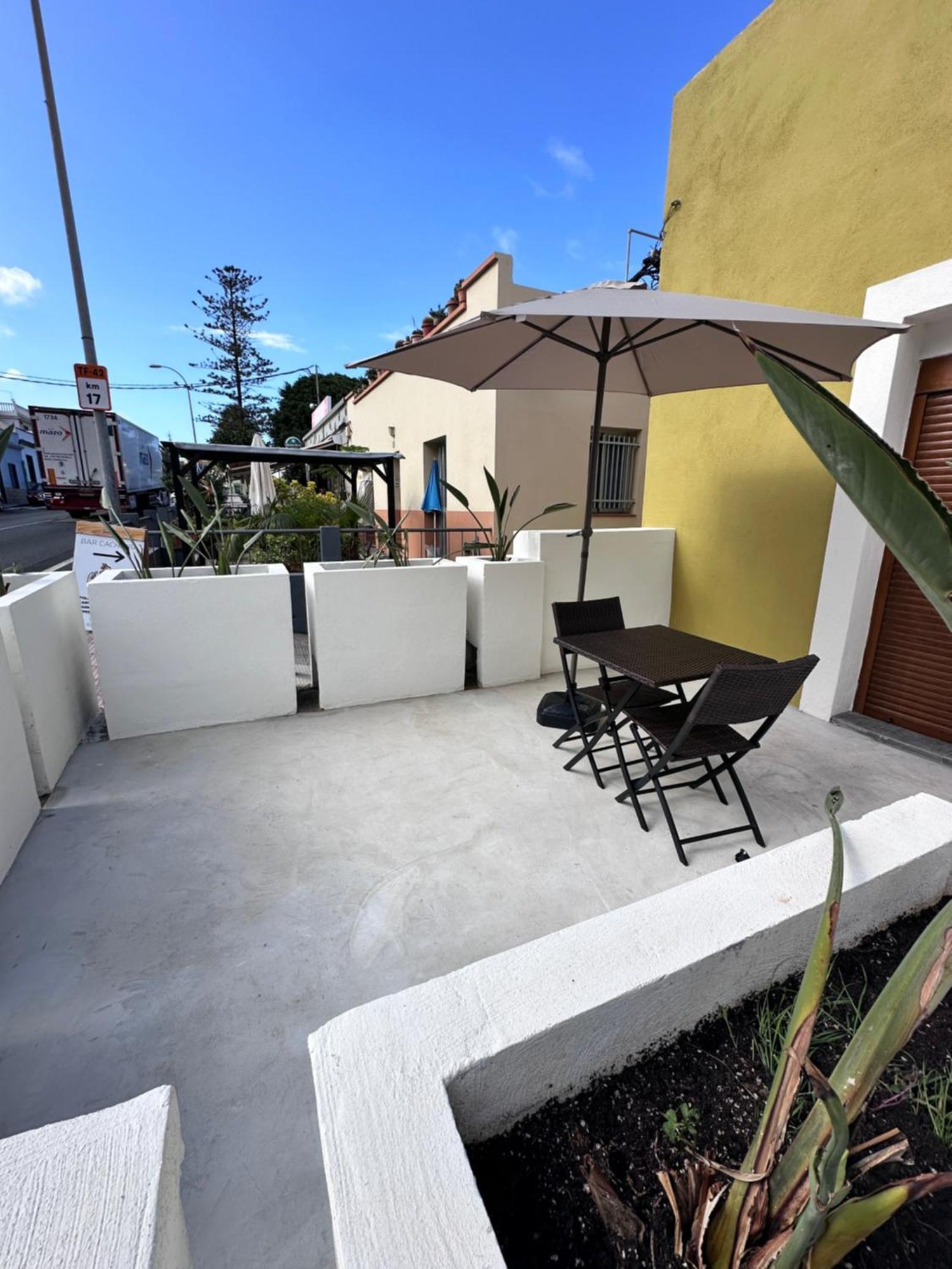 Euphorbia Appartement