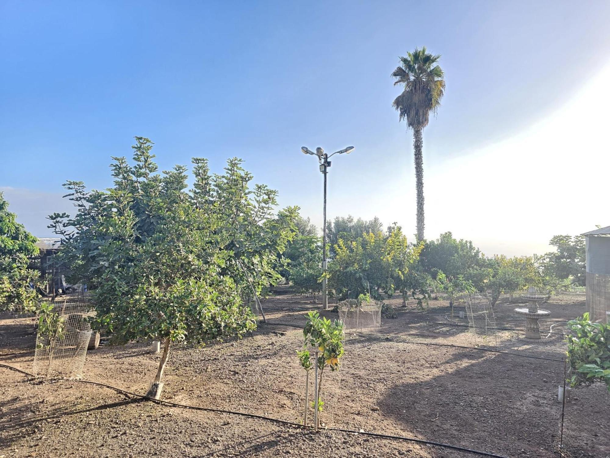 Enchanting Dream View A6 Atalaya In