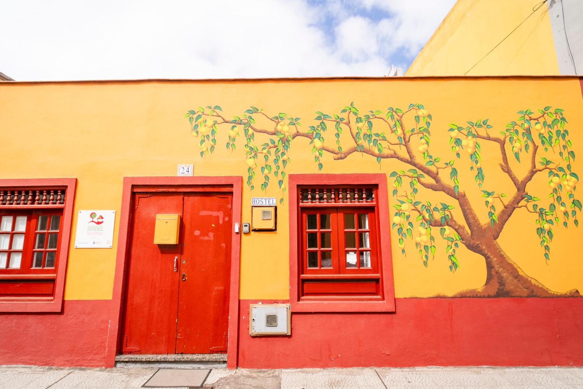 Tenerife Hostel *