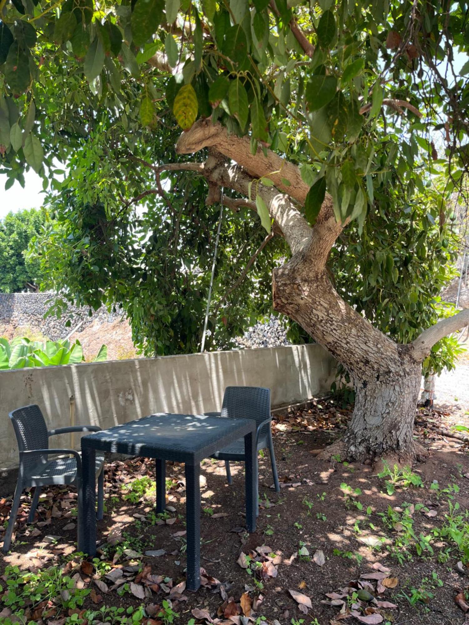 Casa Patio Fincaecoamaro Puerto de Santiago (Tenerife)
