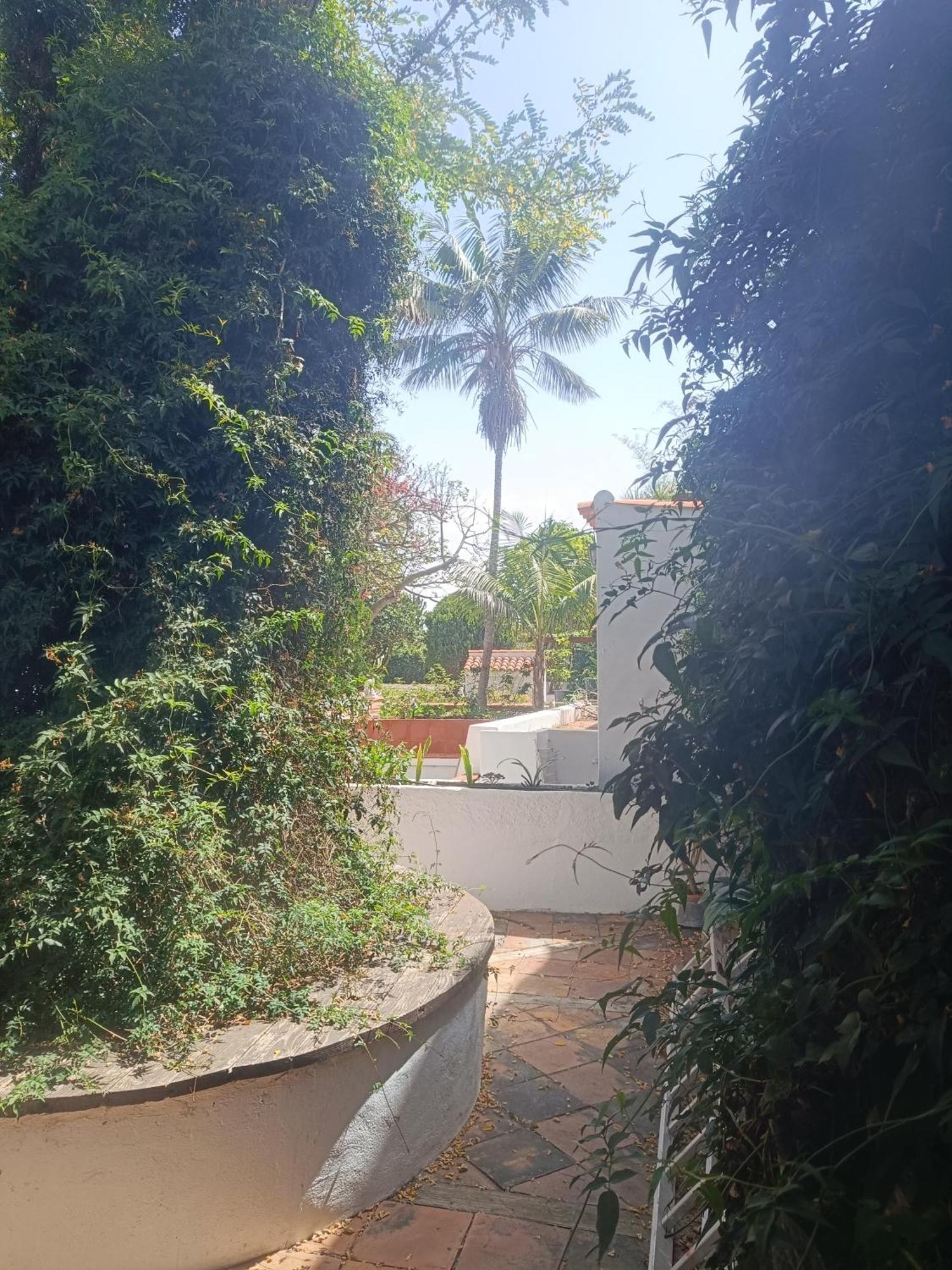 Ilusion Apartamento Tacoronte