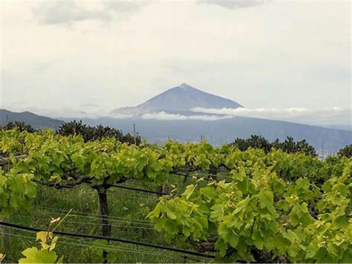 Rural House Tenerife Relax And Enjoy * Santa Ursula (Tenerife)