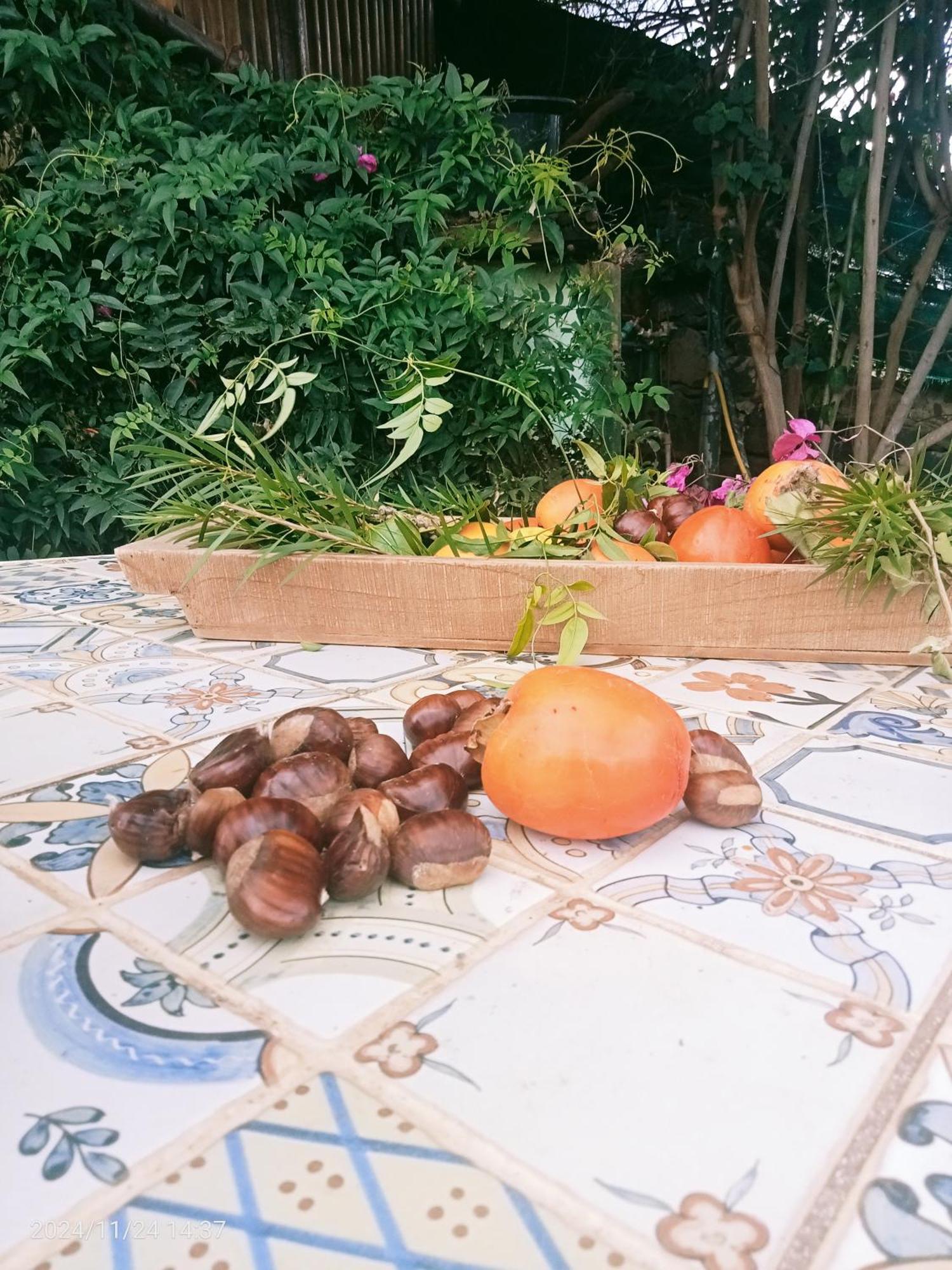 Casa rural Y Fincatenerife Relax And Enjoy *