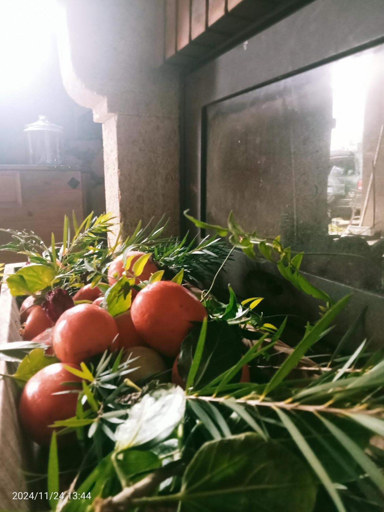 Country house Rural House Tenerife Relax And Enjoy *