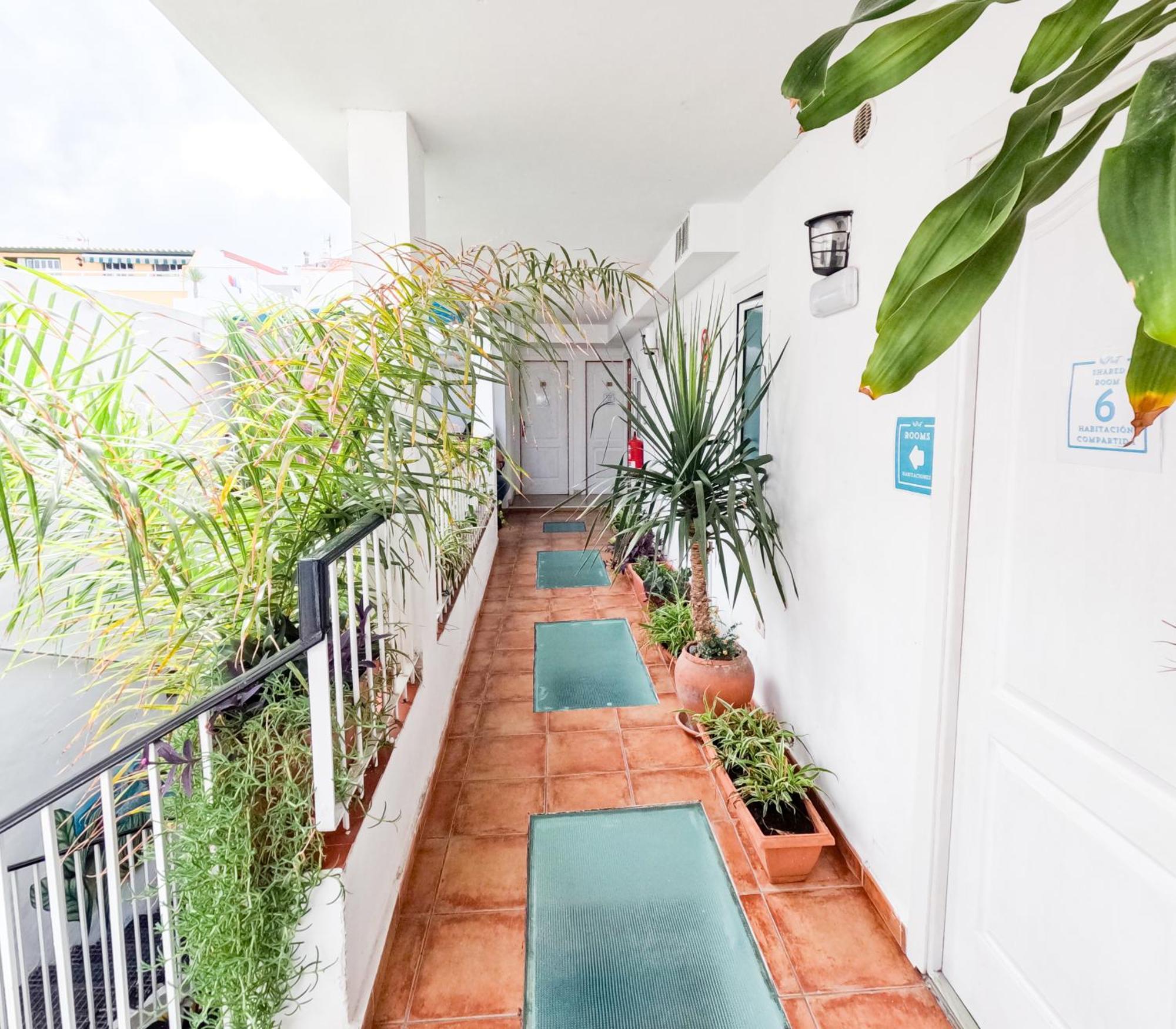 Auberge de jeunesse Puerto Nest Puerto de la Cruz (Tenerife)