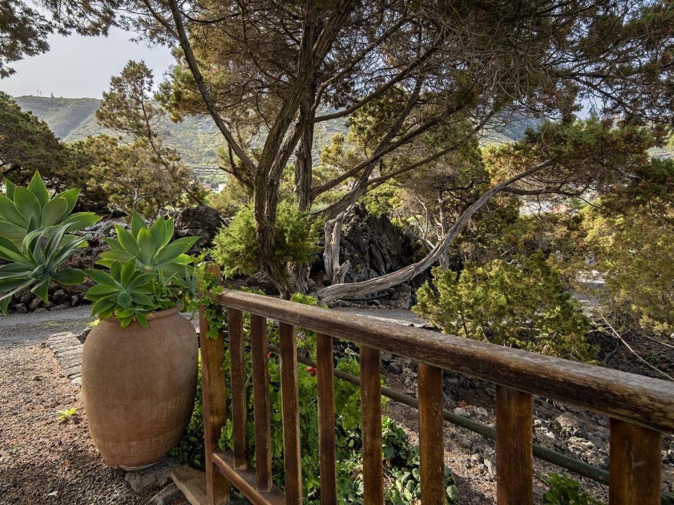 Sabinas - El Guincho, * Garachico (Tenerife)