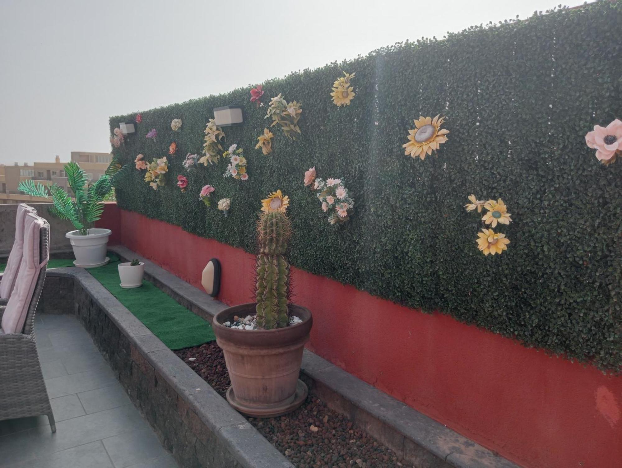 Apartamento Casa Soraya *