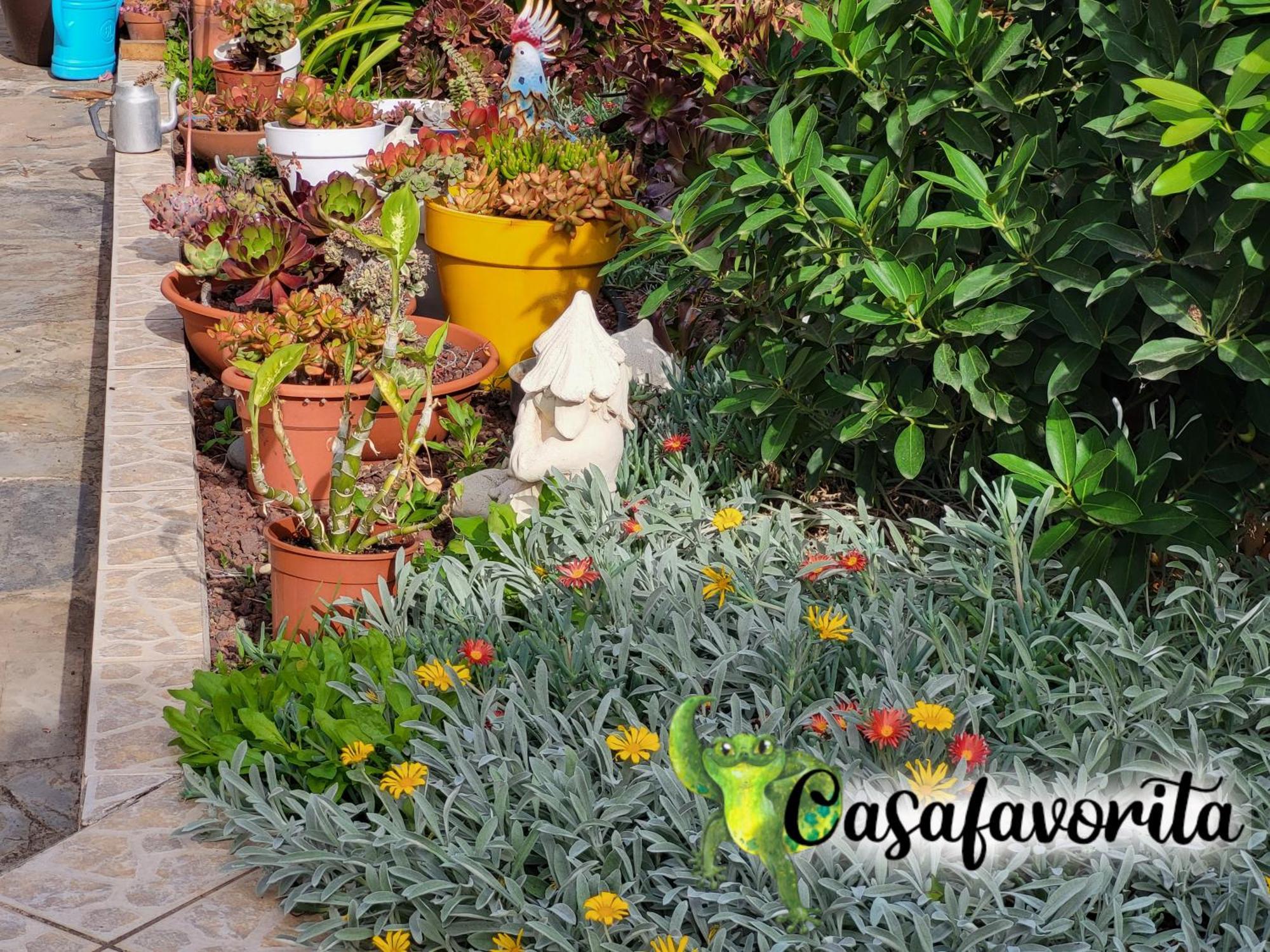 Casafavorita - Meer- Und Teideblick Fuer Zwei Appartement