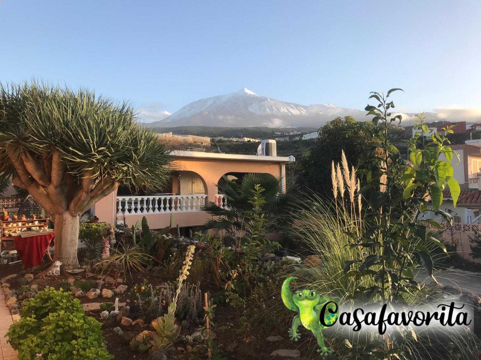 Casafavorita - Meer- Und Teideblick Fuer Zwei Santa Catalina
