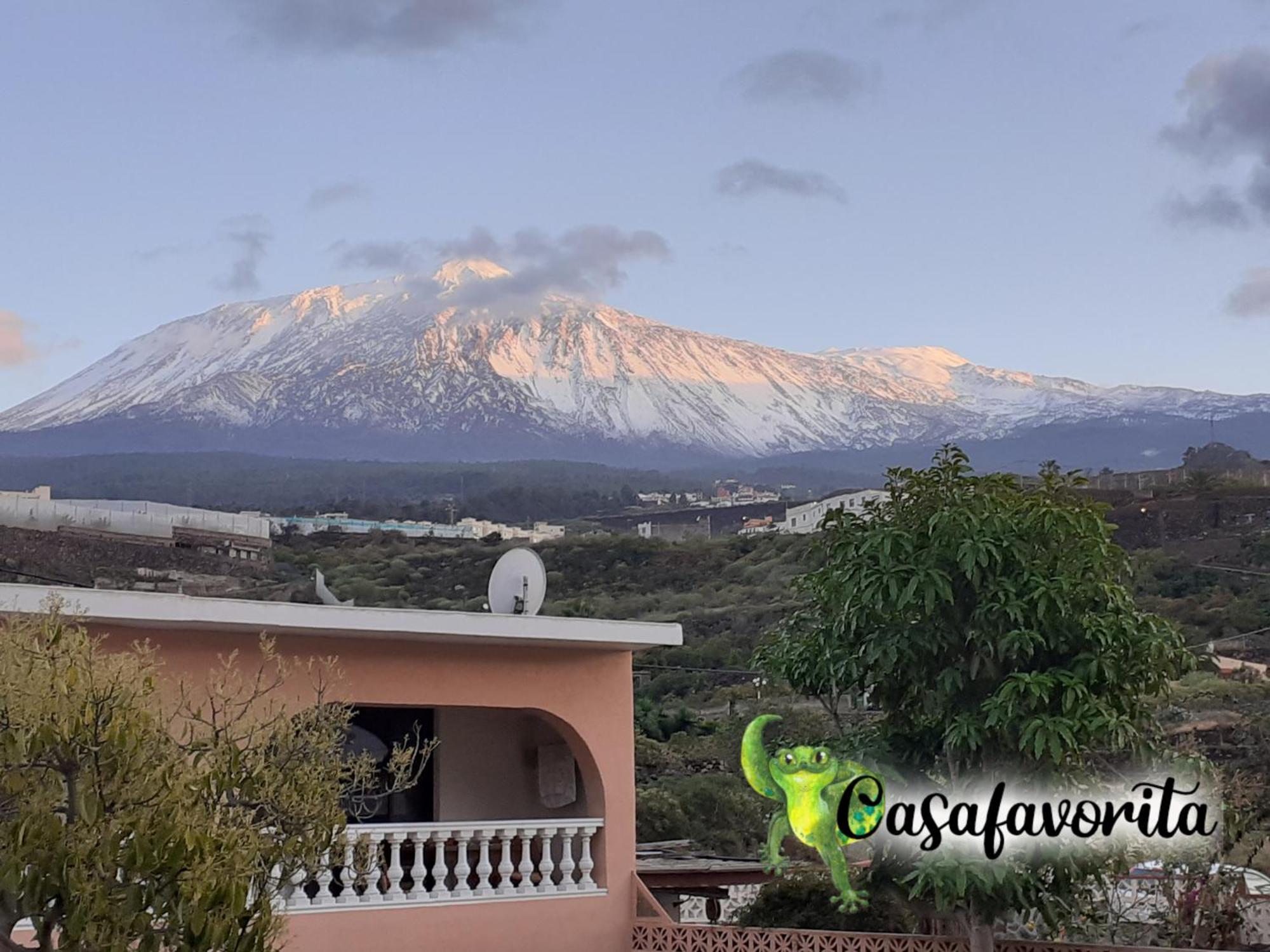 Appartement Casafavorita - Meer- Und Teideblick Fuer Zwei *