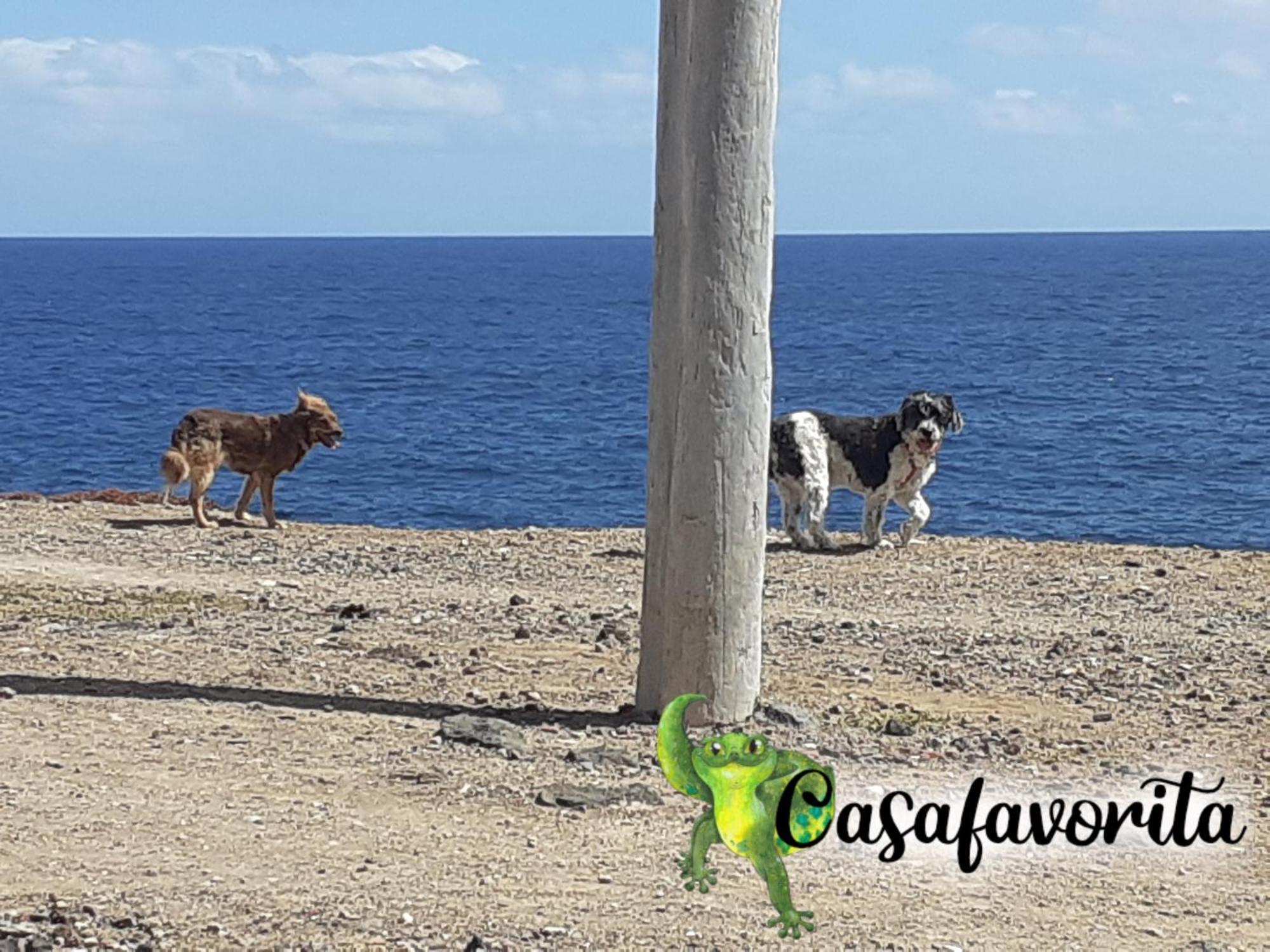 Casafavorita - Meer- Und Teideblick Fuer Zwei *