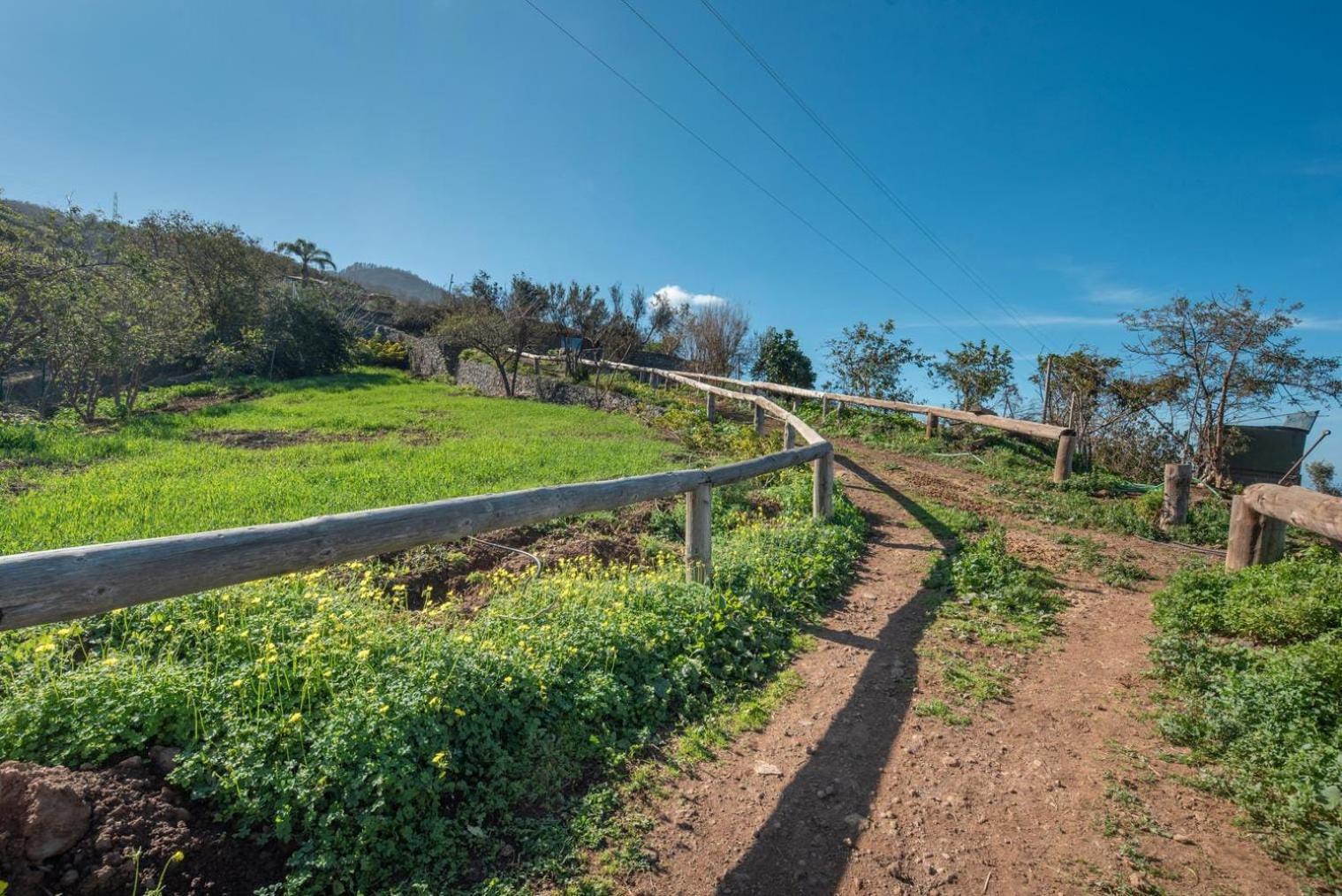 Y Fincatenerife Relax And Enjoy Casa rural