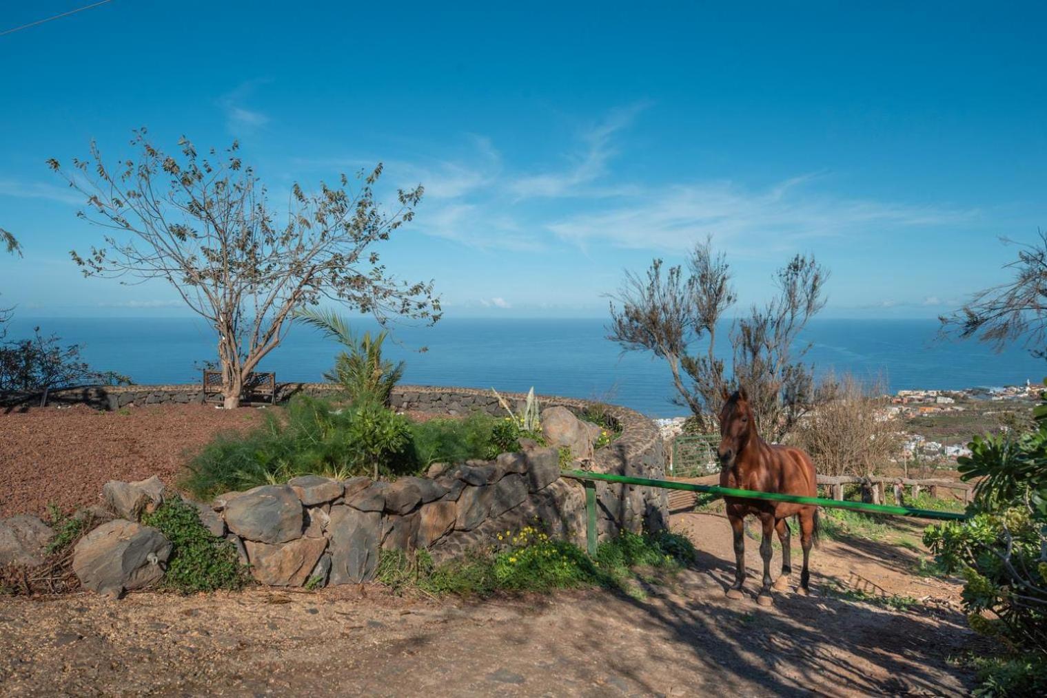 Casa rural Y Fincatenerife Relax And Enjoy *