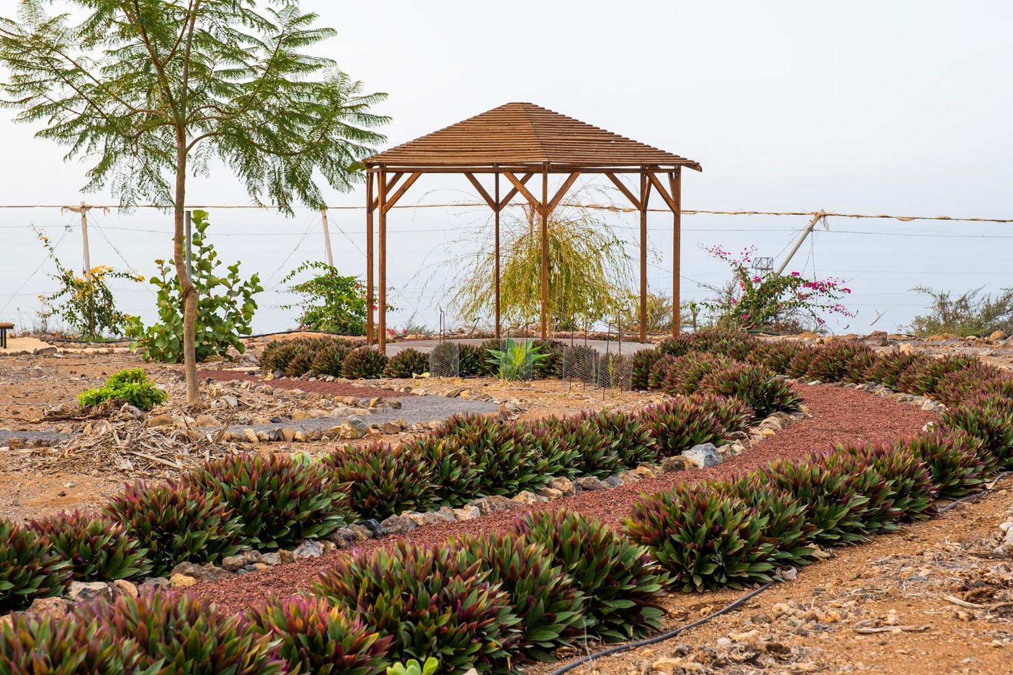 Tenerife Healing Garden