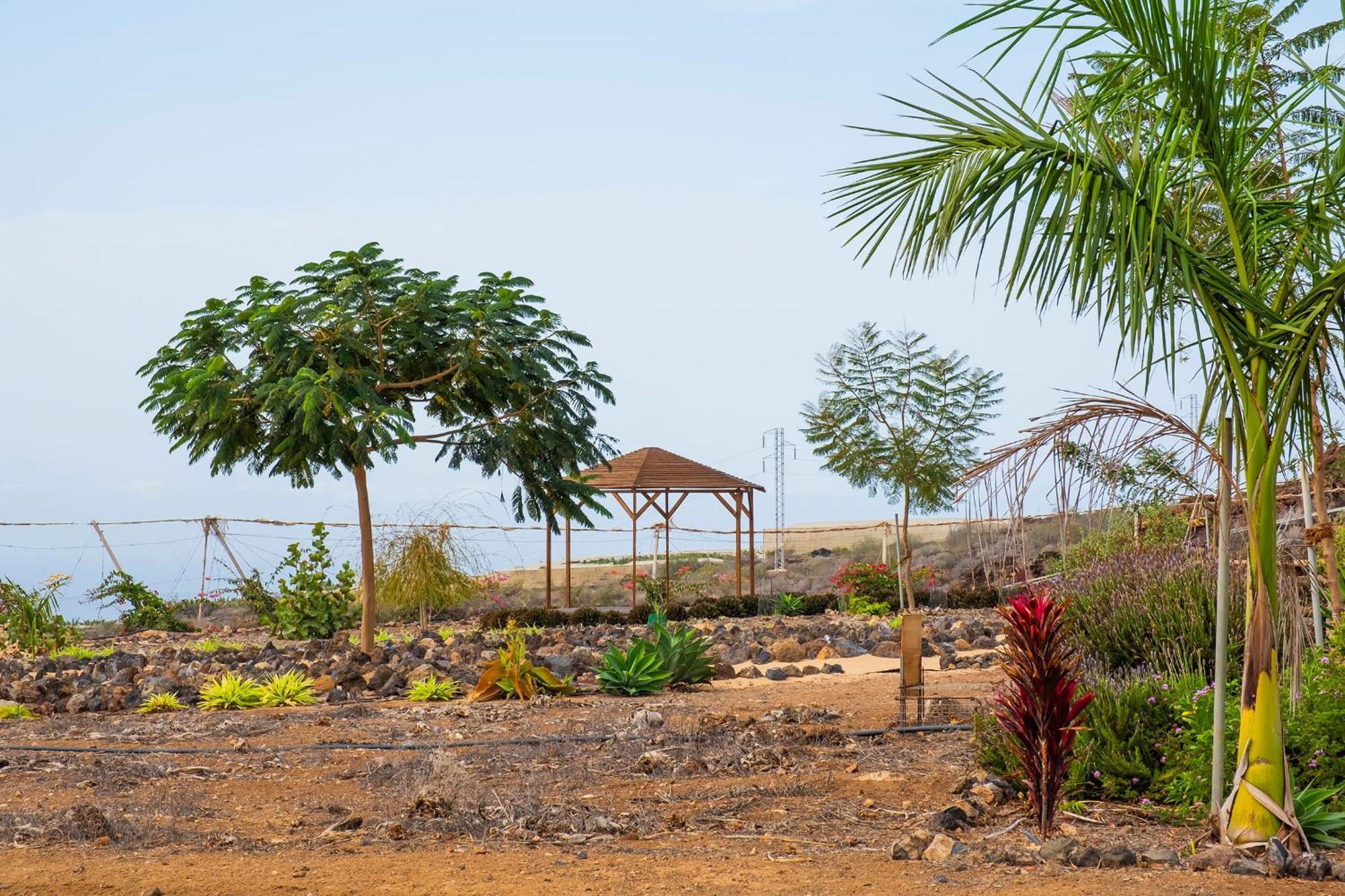 Tenerife Healing Garden Appartement *