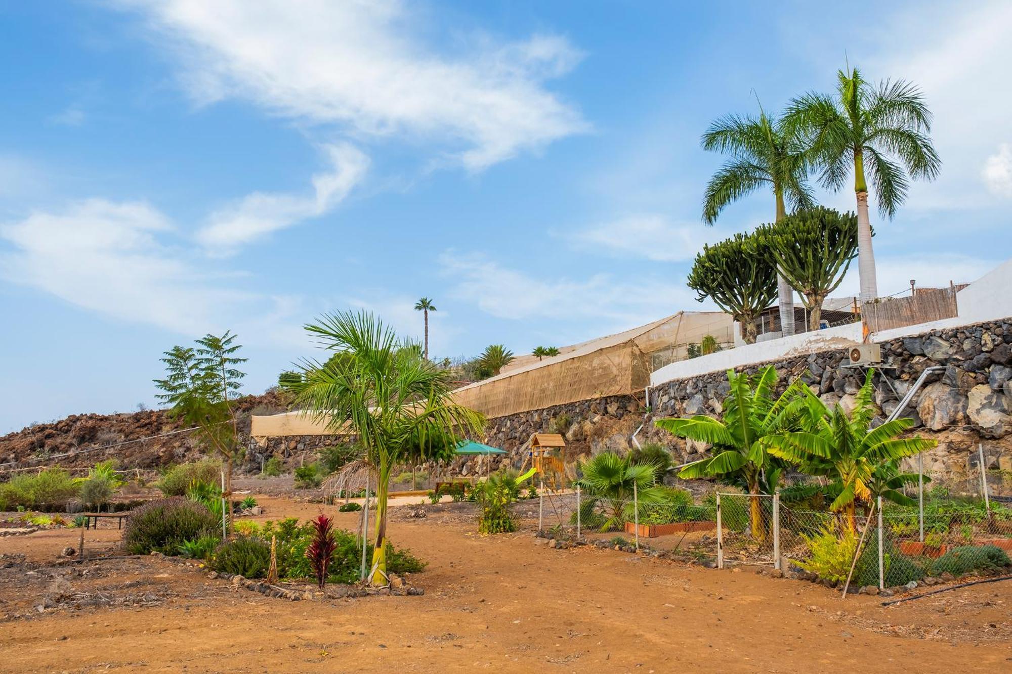 Tenerife Healing Garden