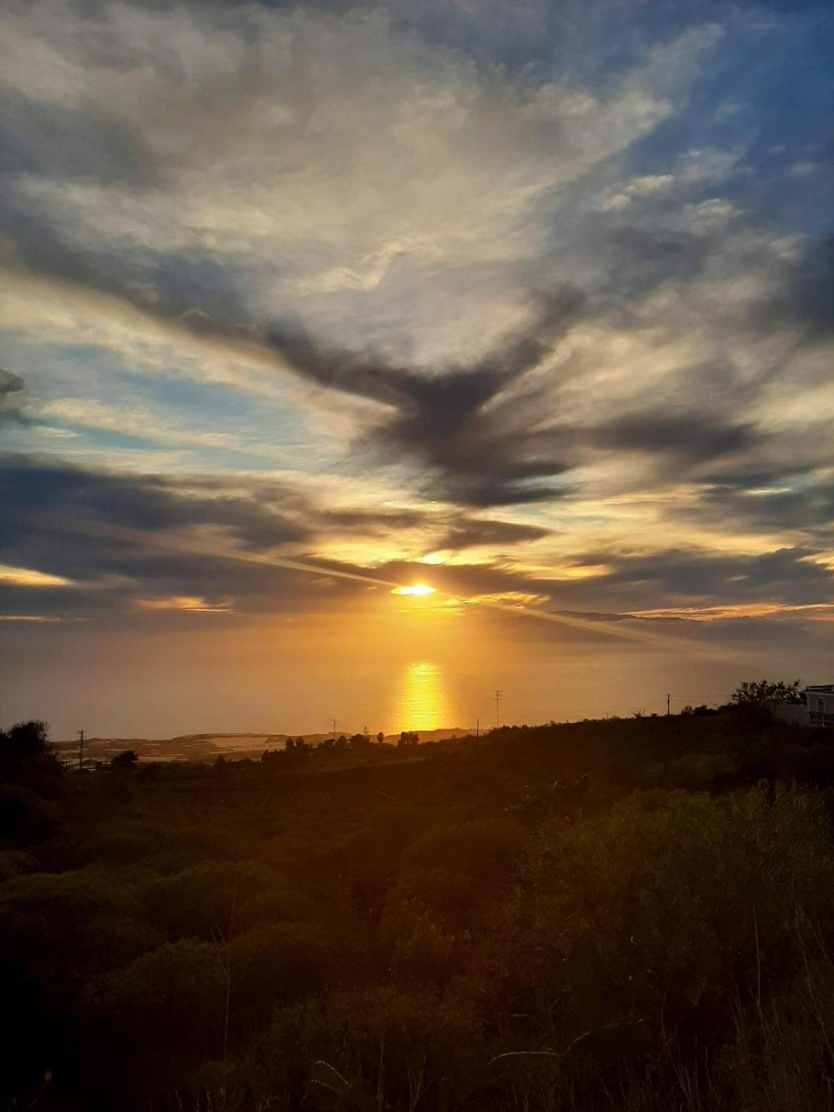 Tenerife Healing Garden