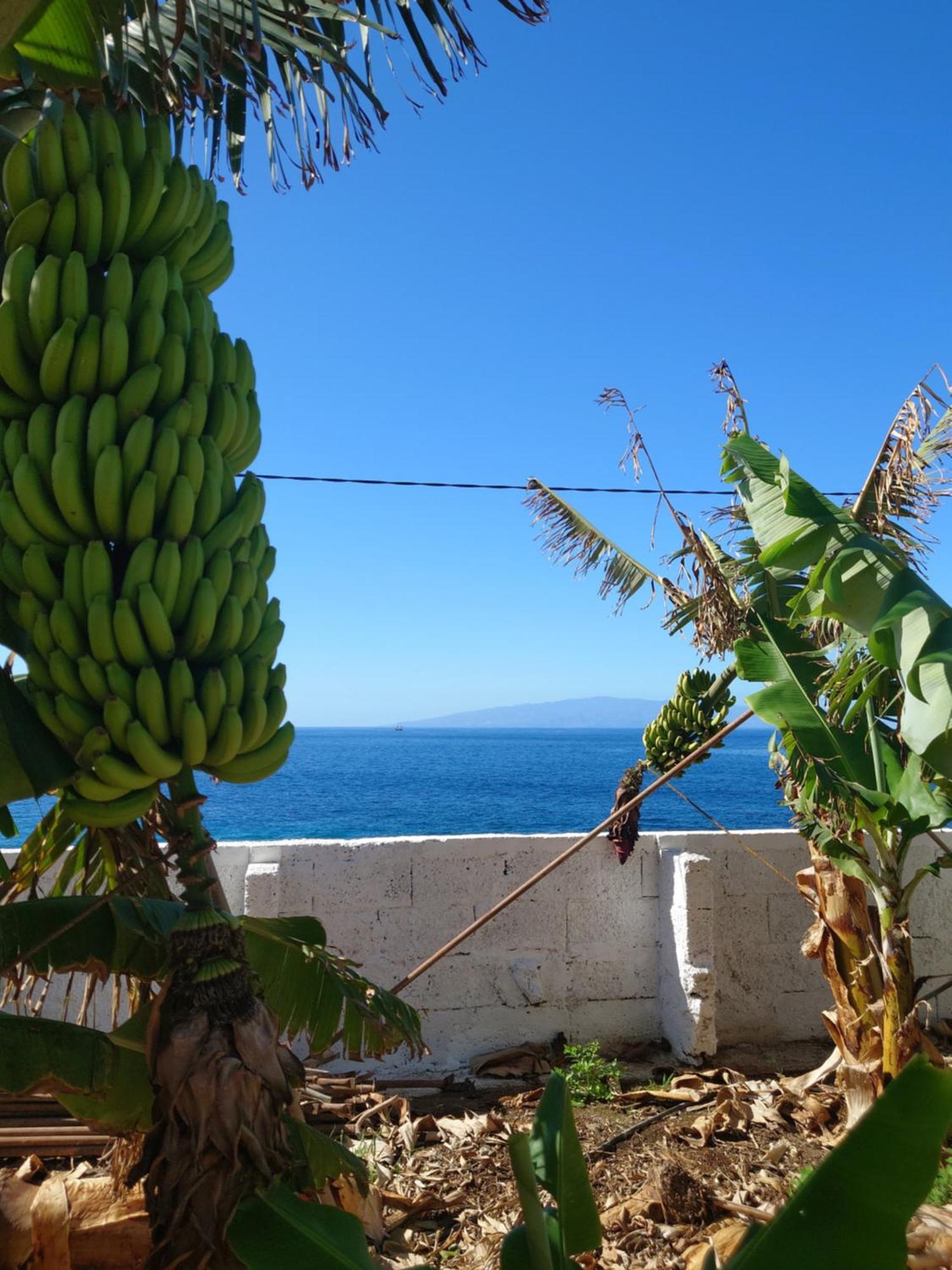 Don Victor * Playa de San Juan (Tenerife)