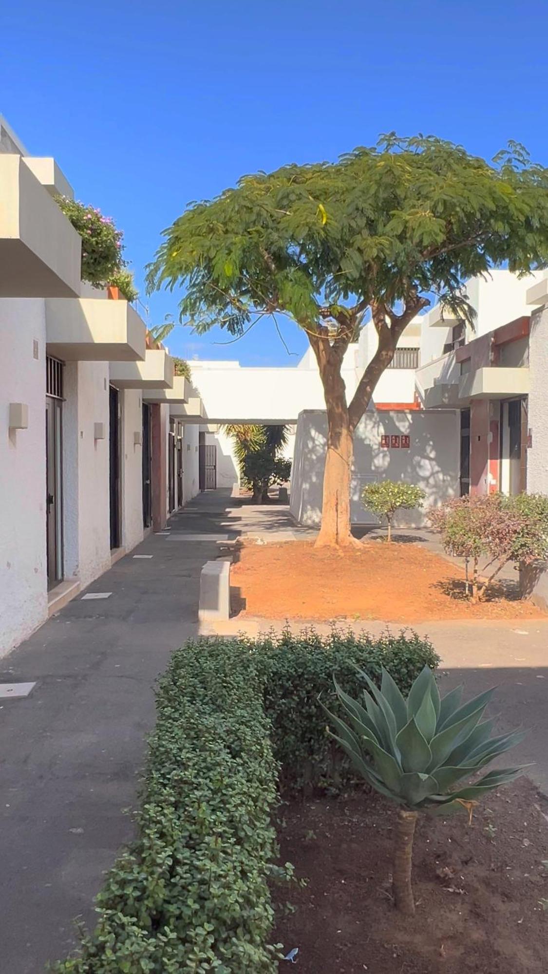 Apartamento Tenbelsol *