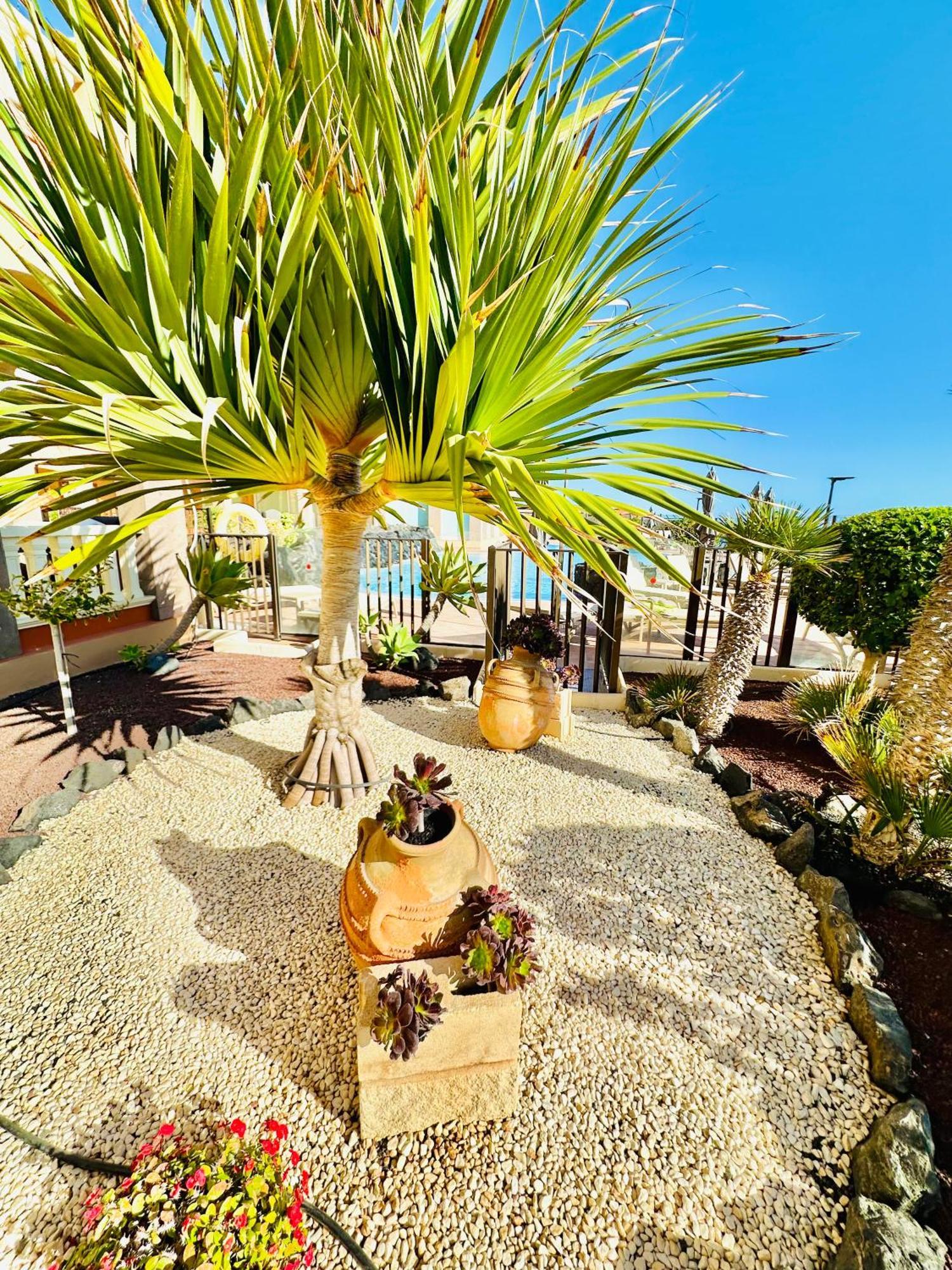 Best4u Nautico * San Miguel de Abona