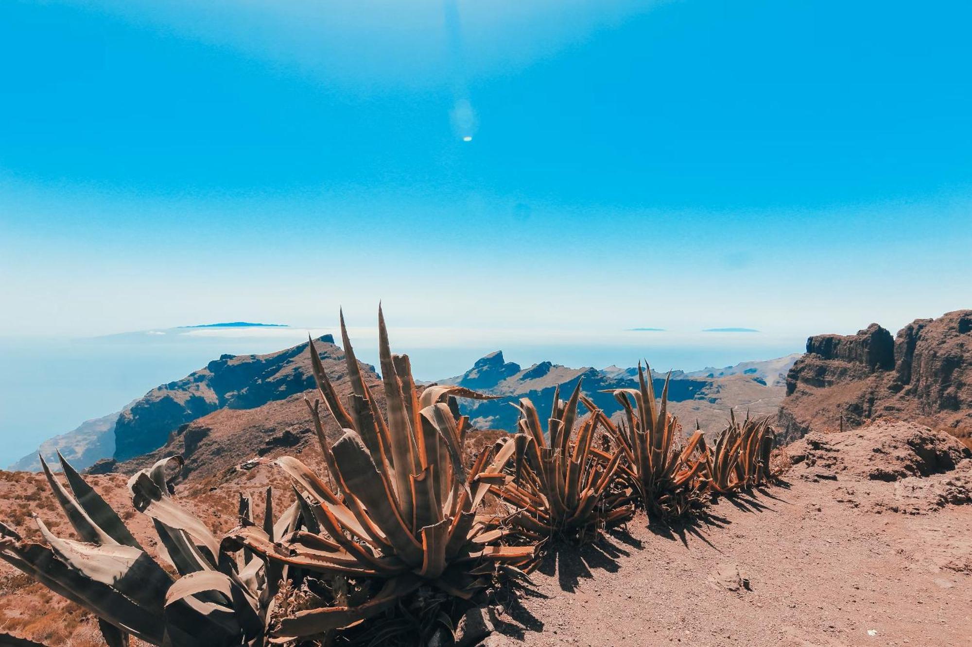 Oasis Of Tranquillity Tenerife *