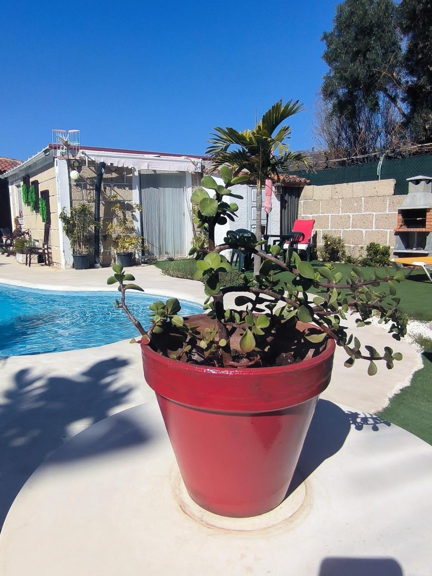 Apartamento Daita 2 Daita 3 Granadilla De Abona