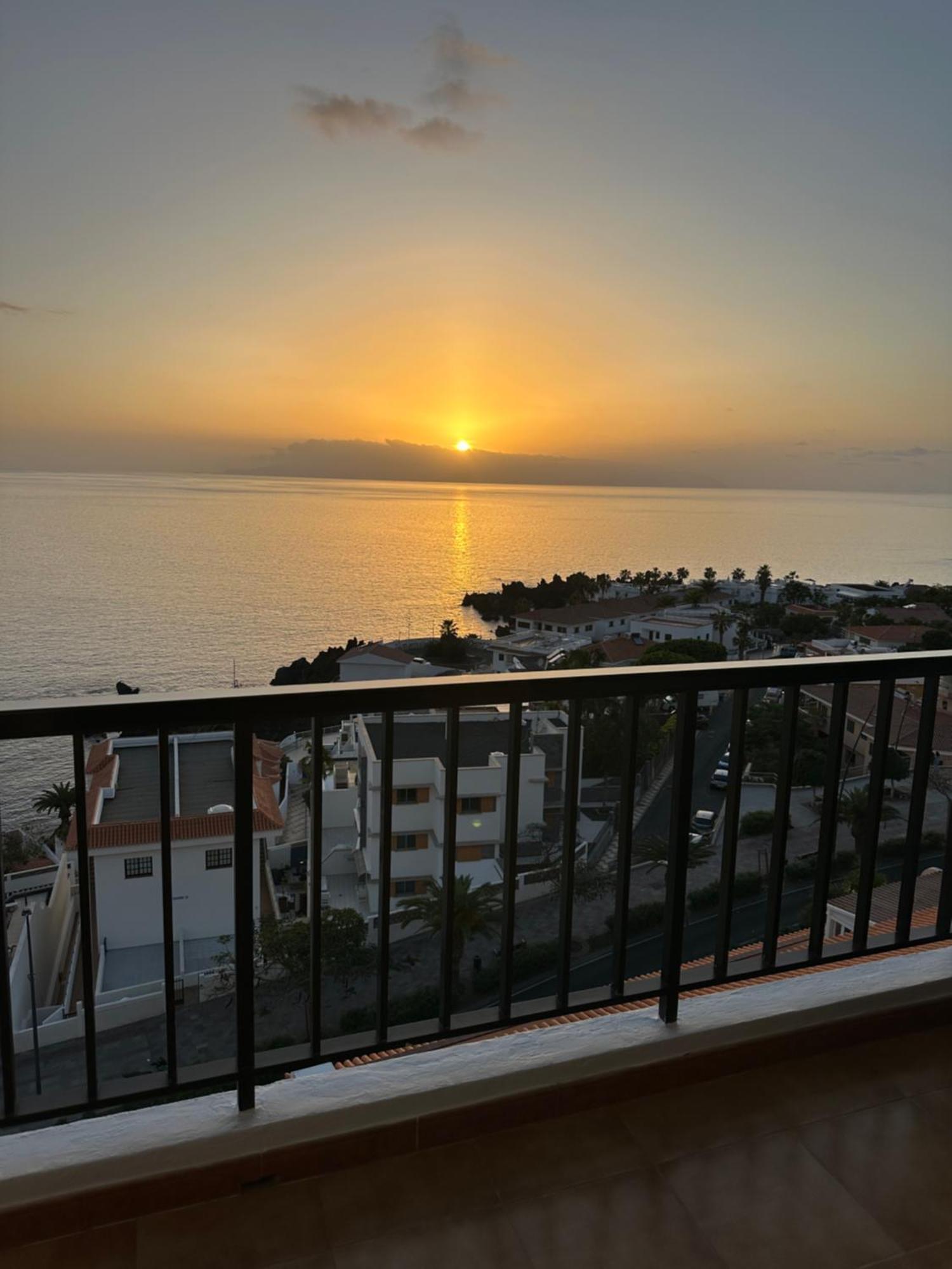 Dorado Atardecer *
