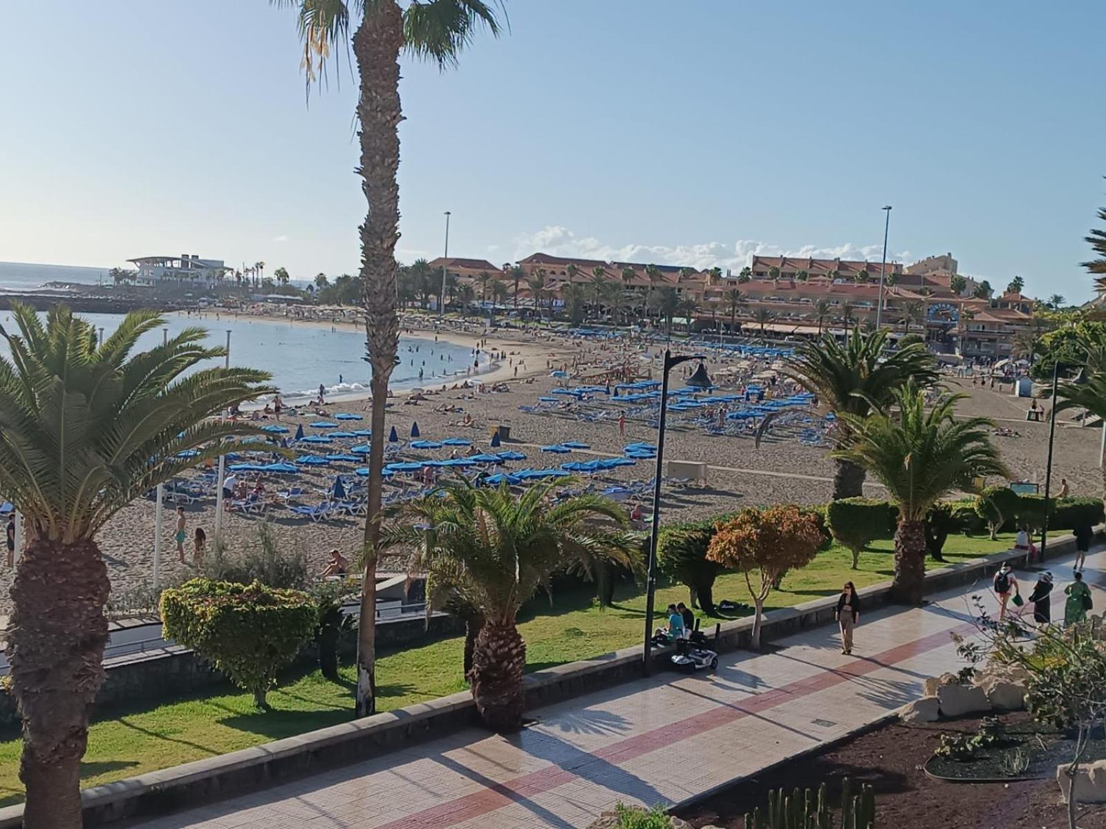 Appartement In Cristianos Playa de las Américas