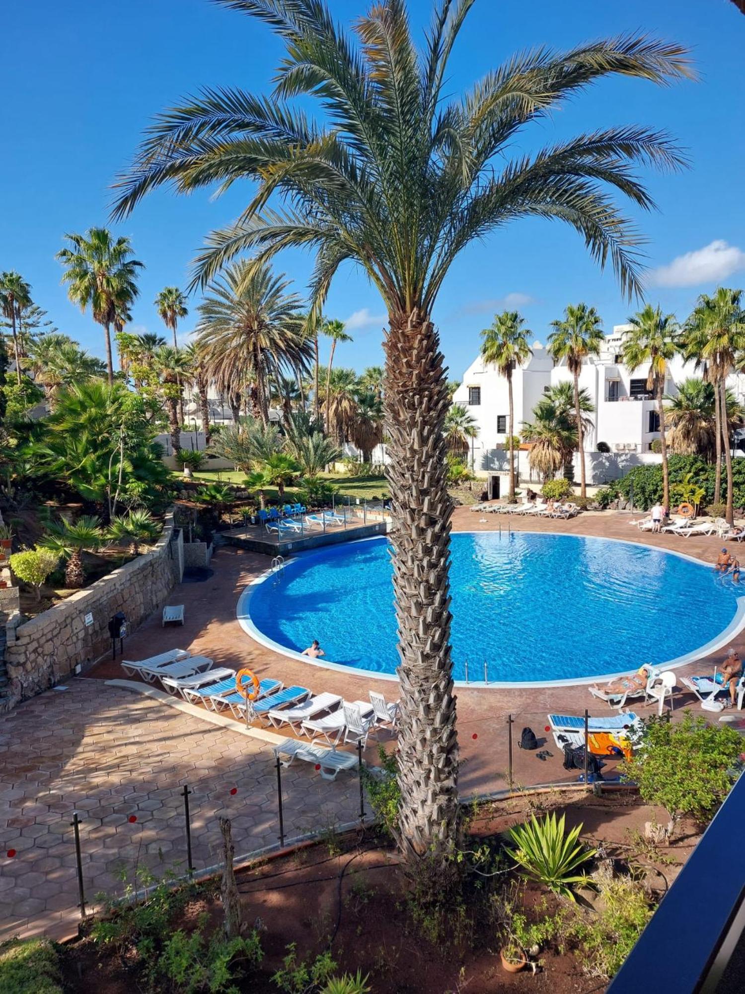 Dell'amor El Dorado * Playa de las Americas (Tenerife)
