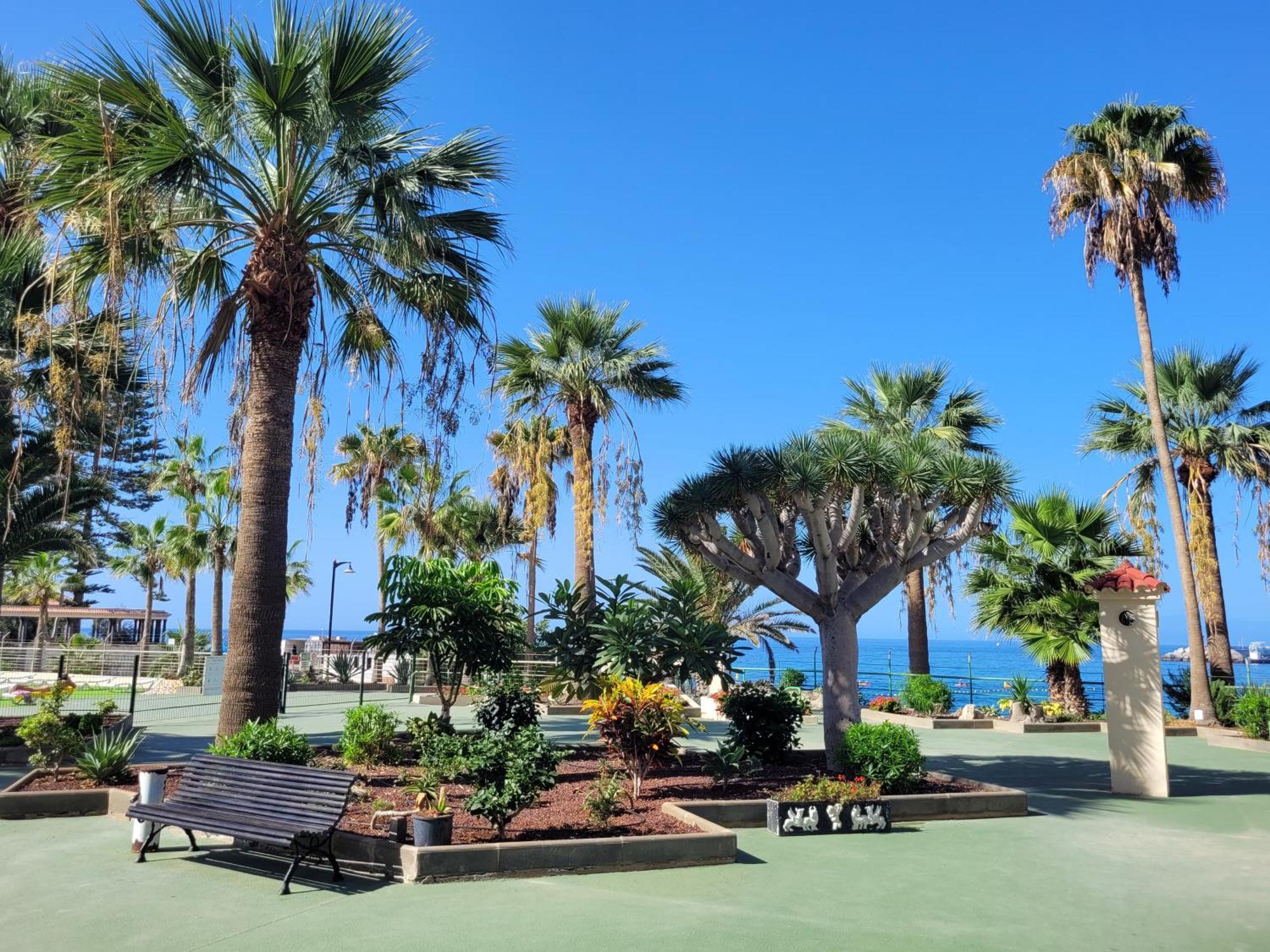 Apartment Costa Mar Los Cristianos (Tenerife)