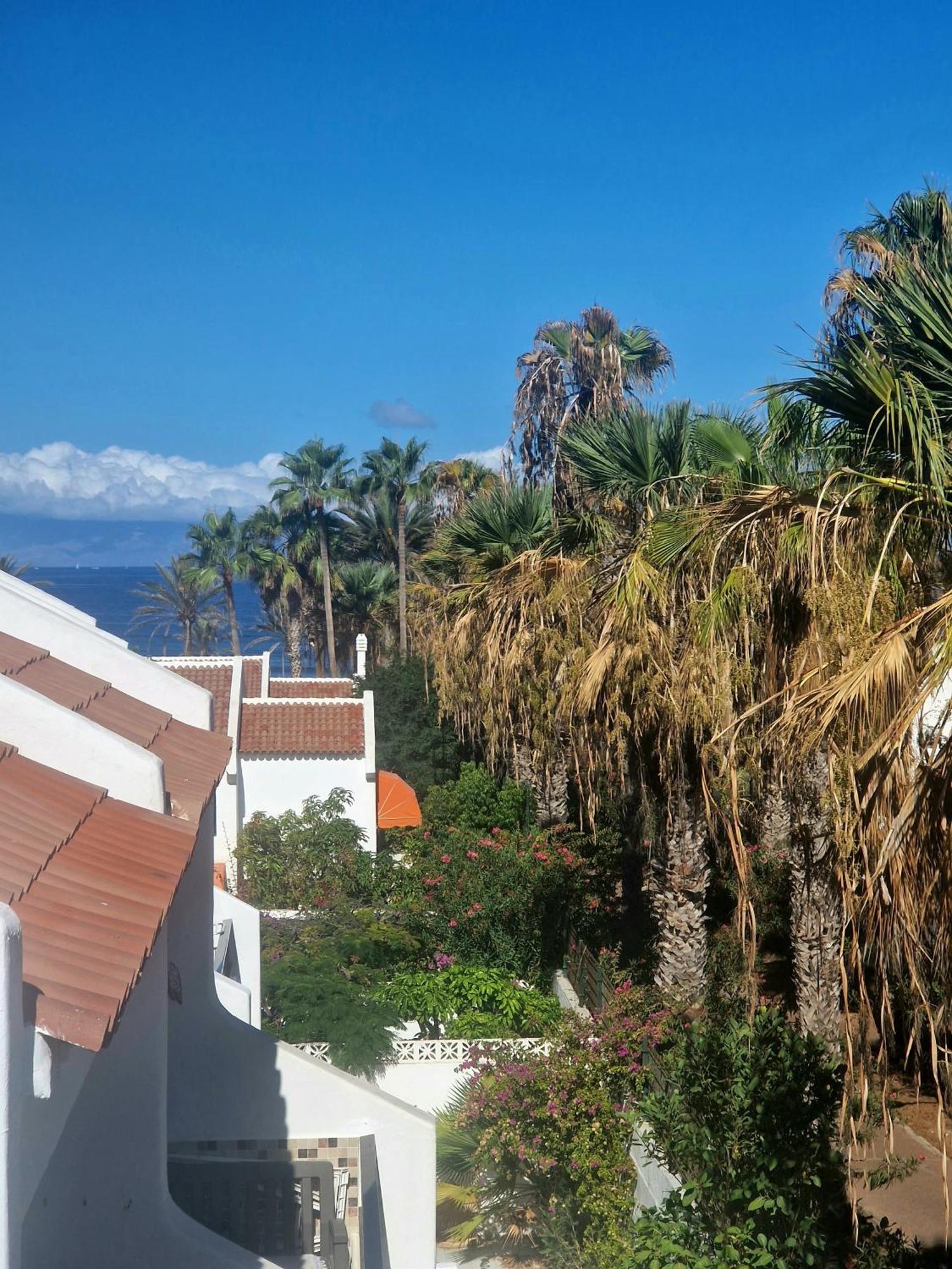 Parque Santiago 1 F-312 By Tenerife Dream *