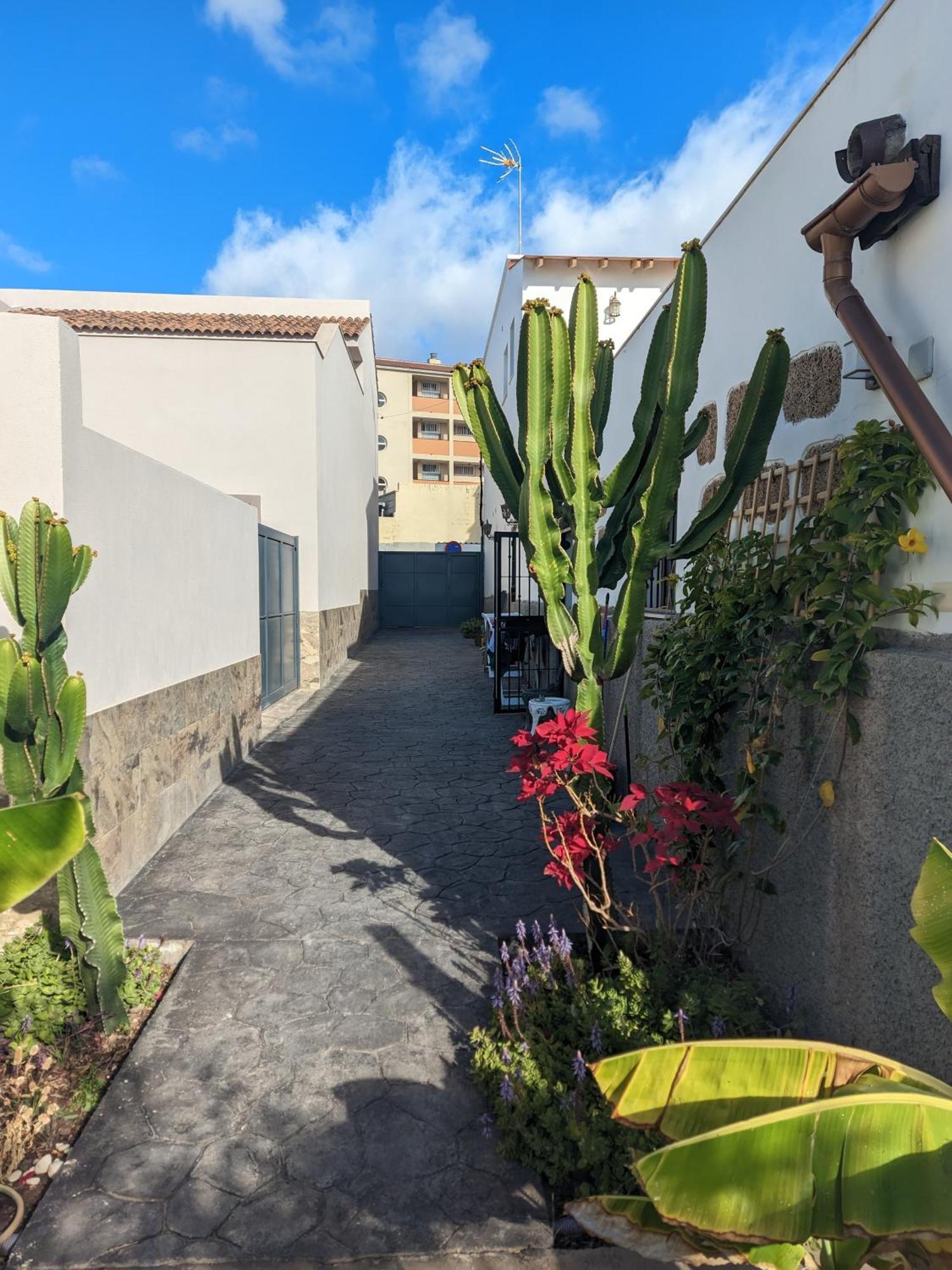 Casa Roberta Fuego Apartment Arona (Tenerife)
