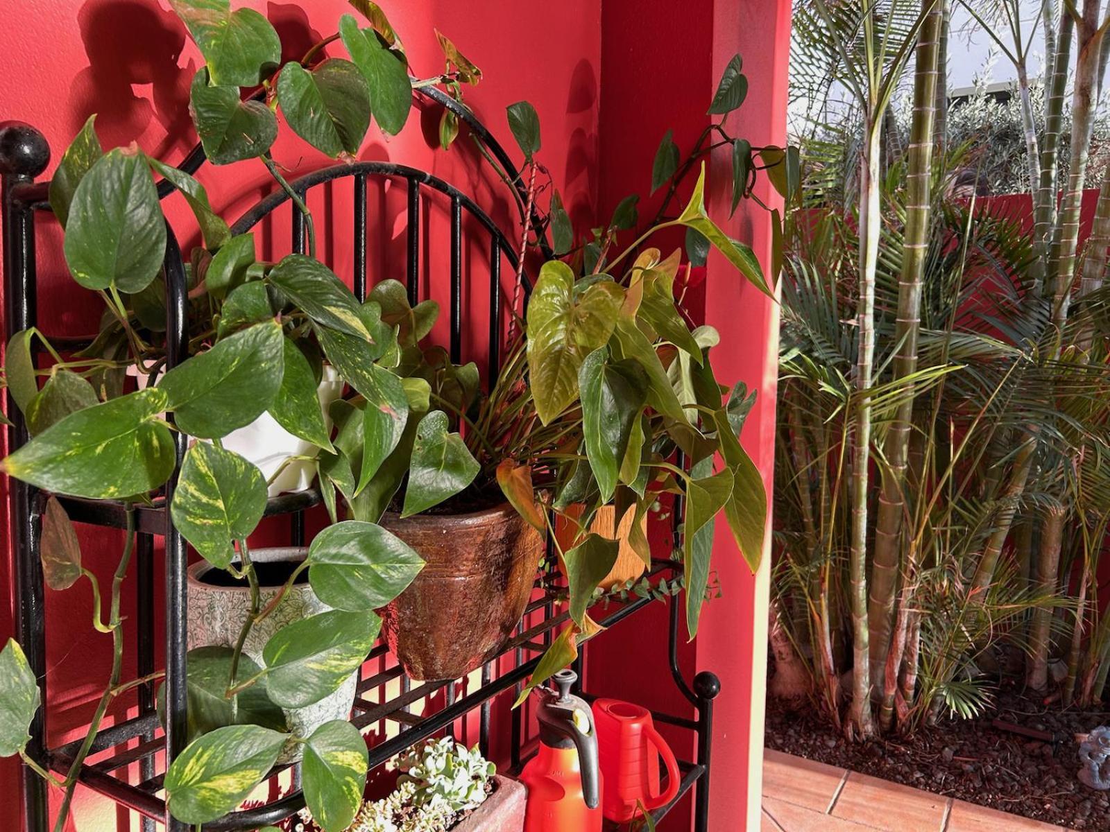 Villa Red-house *