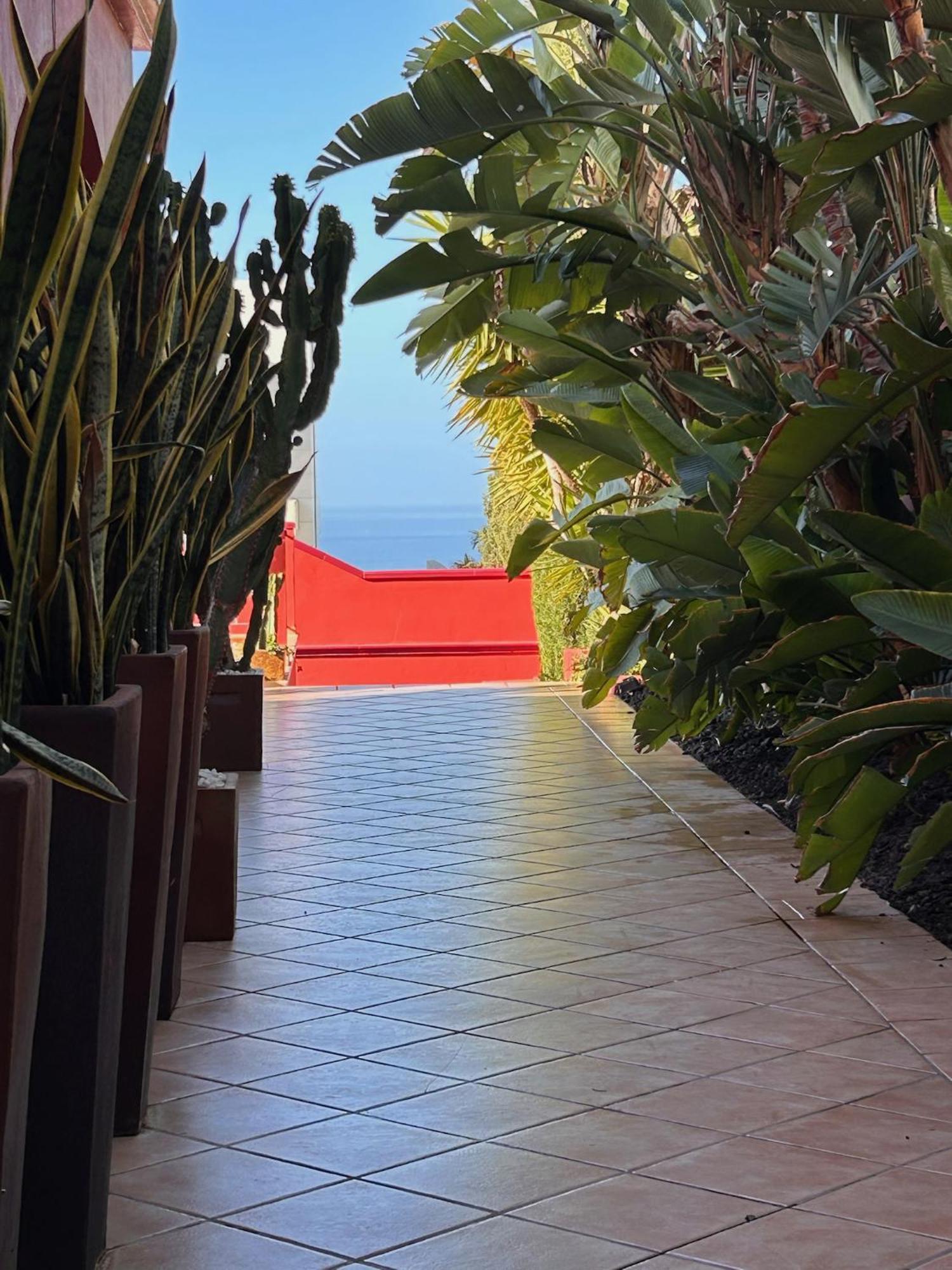 Red-house *