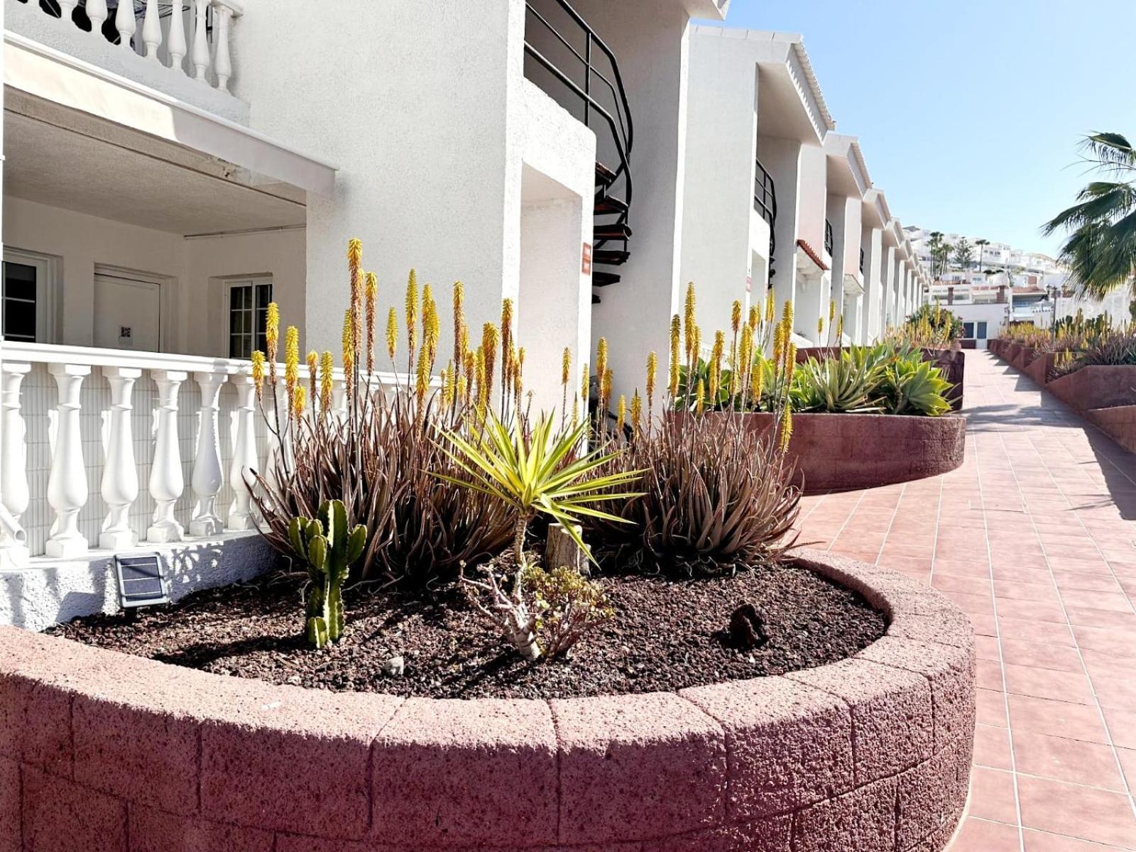 Canarias 107 Holiday home Costa Adeje (Tenerife)