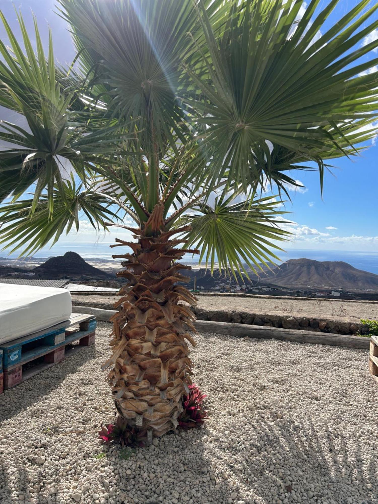 Casa Mirador Apartment