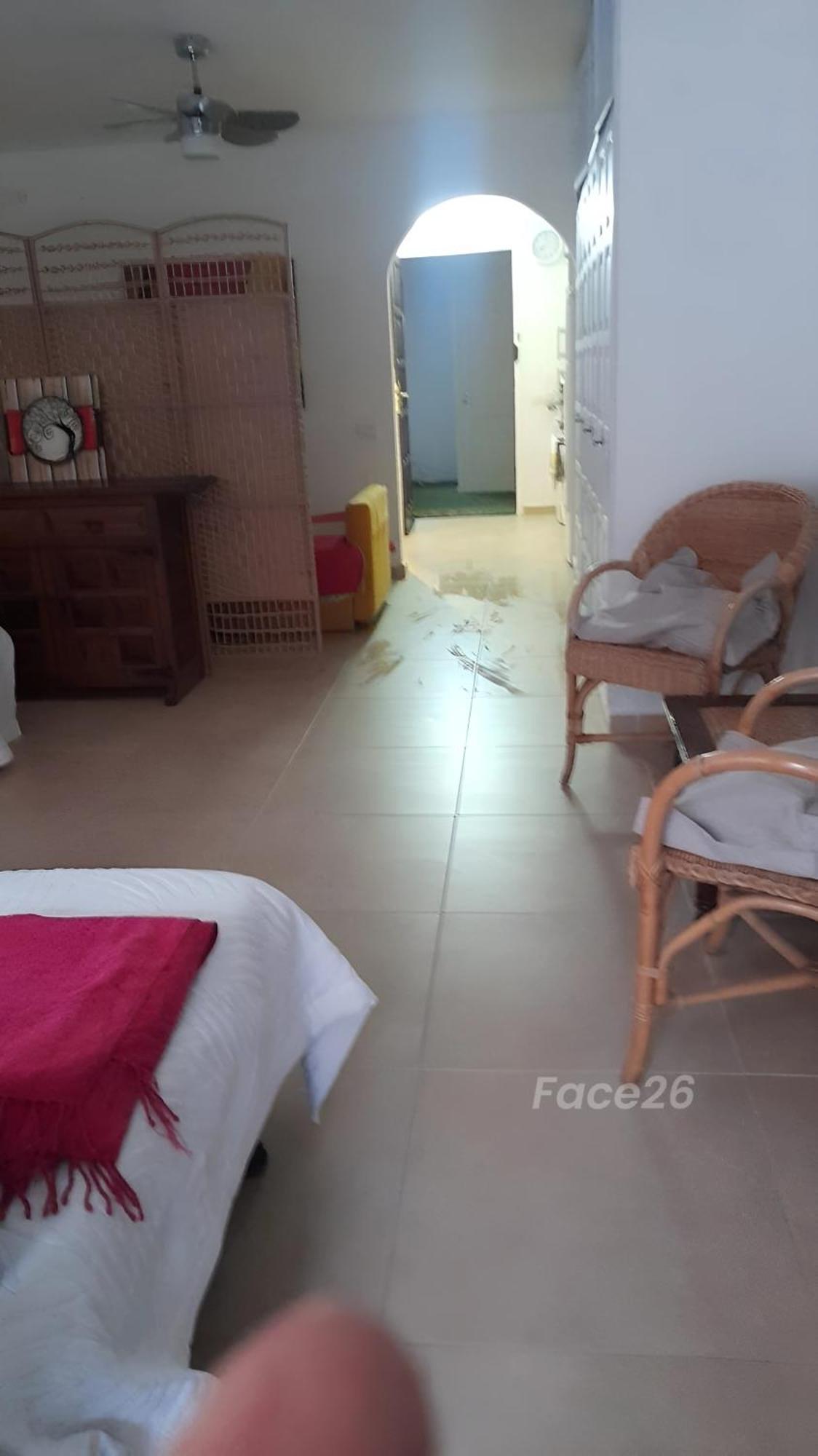 Picaflor Colibri Appartement