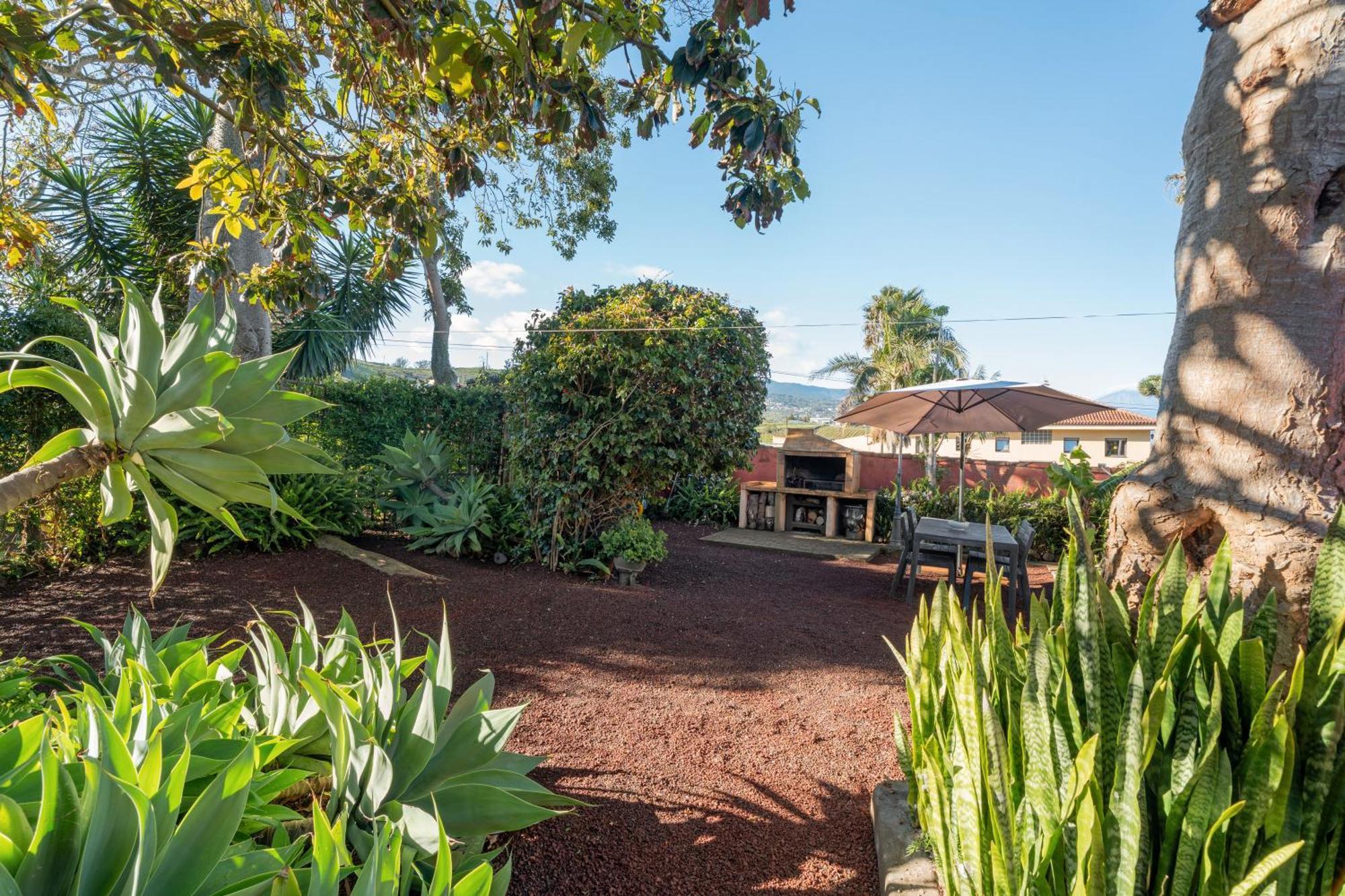 Casa Palmera Tacoronte