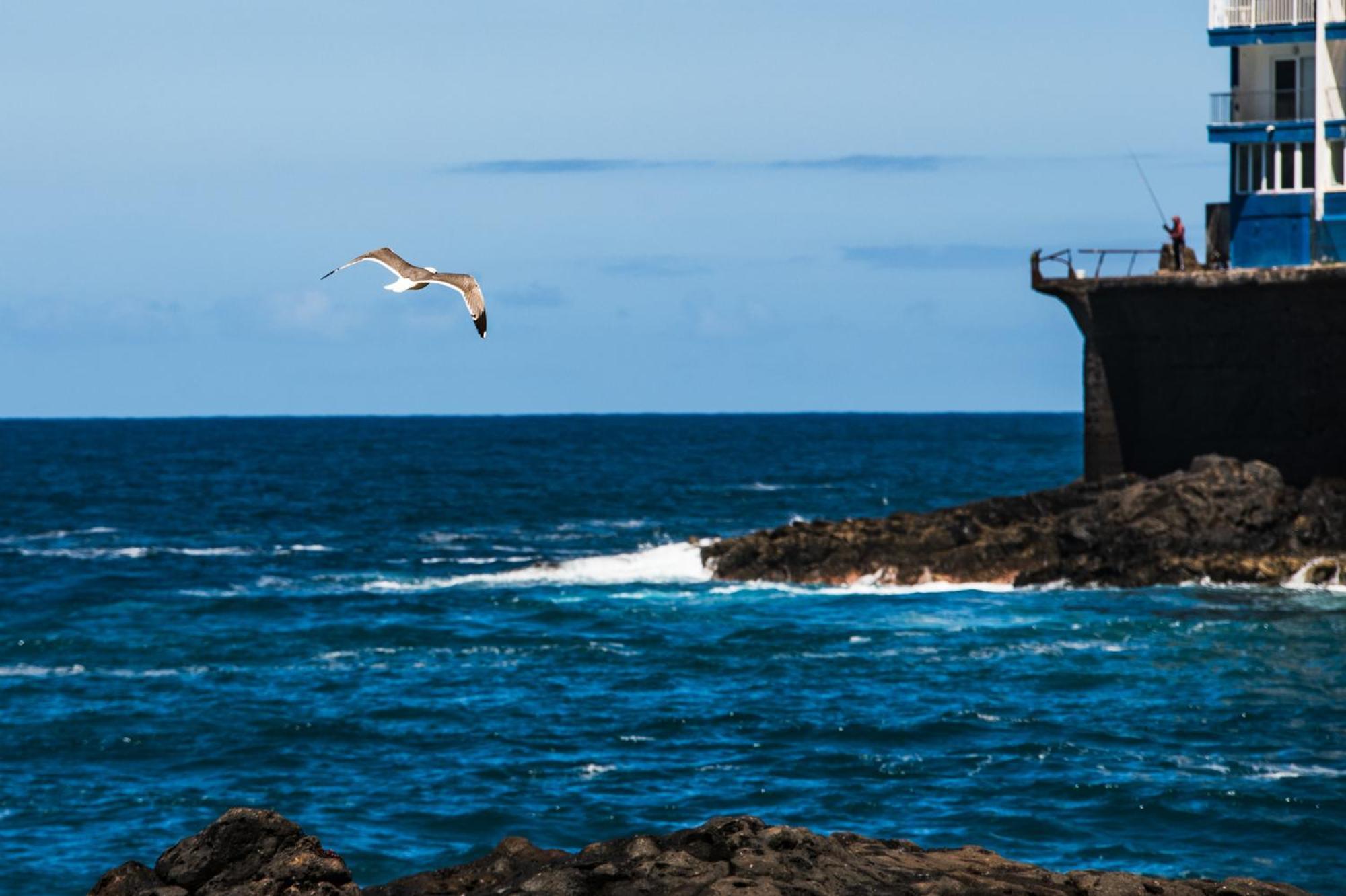 Sunny Vibes With Sea View Apartamento Costa Adeje (Tenerife)
