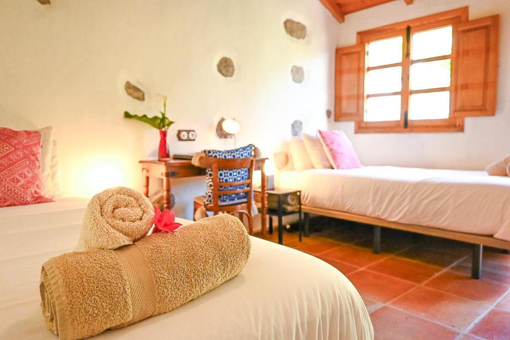 Casa rural Chamorga - - - Santa Cruz de Tenerife