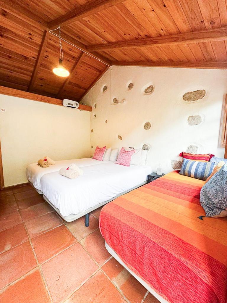 Chamorga - - - Casa rural Santa Cruz de Tenerife