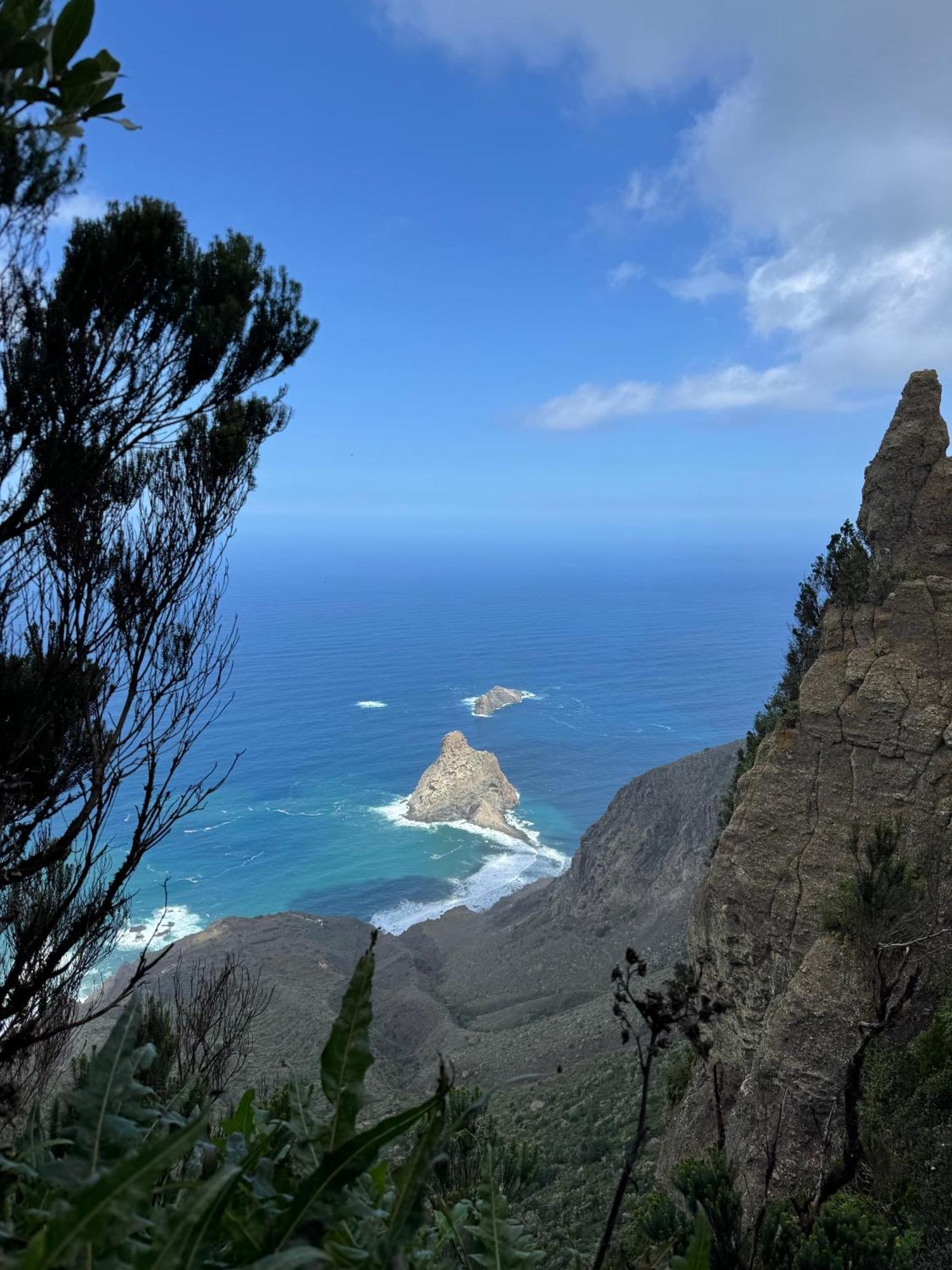 Chamorga - - - Santa Cruz de Tenerife