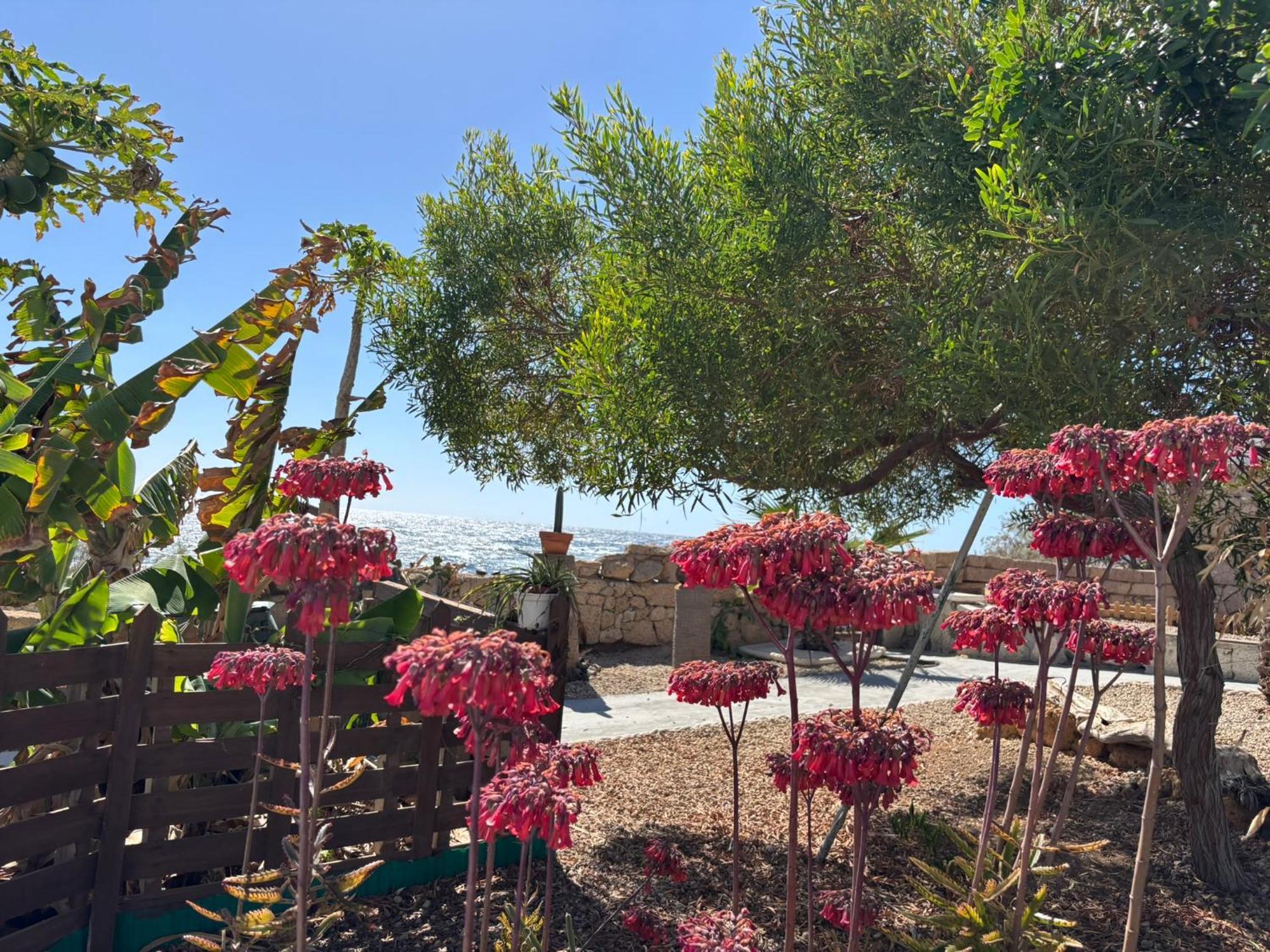 Apartment Little Paradise In El Medano Granadilla De Abona