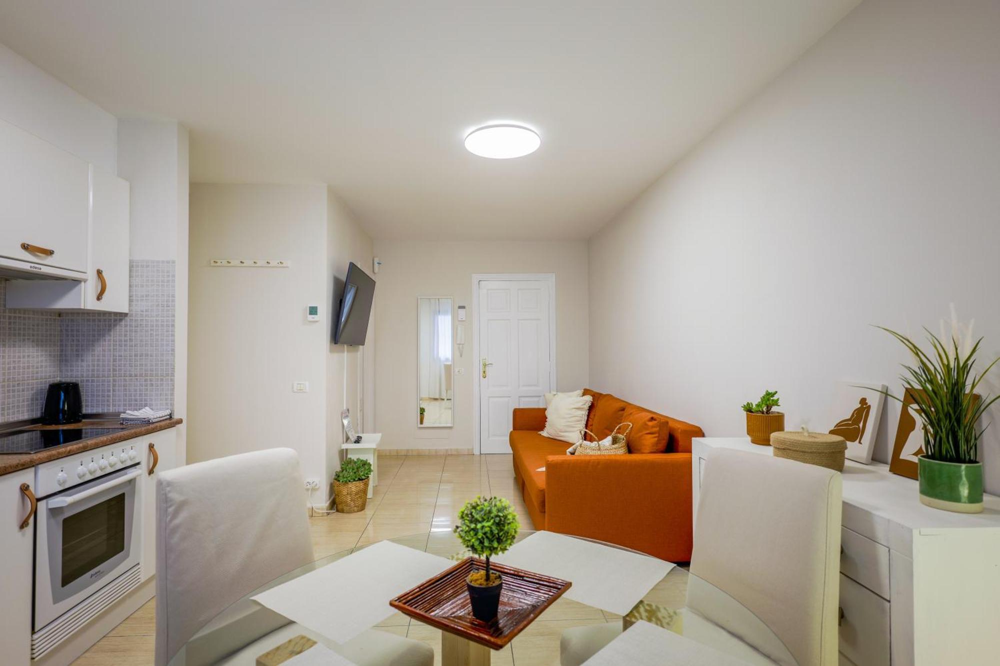 Apartment Cozy Carolina Ii *