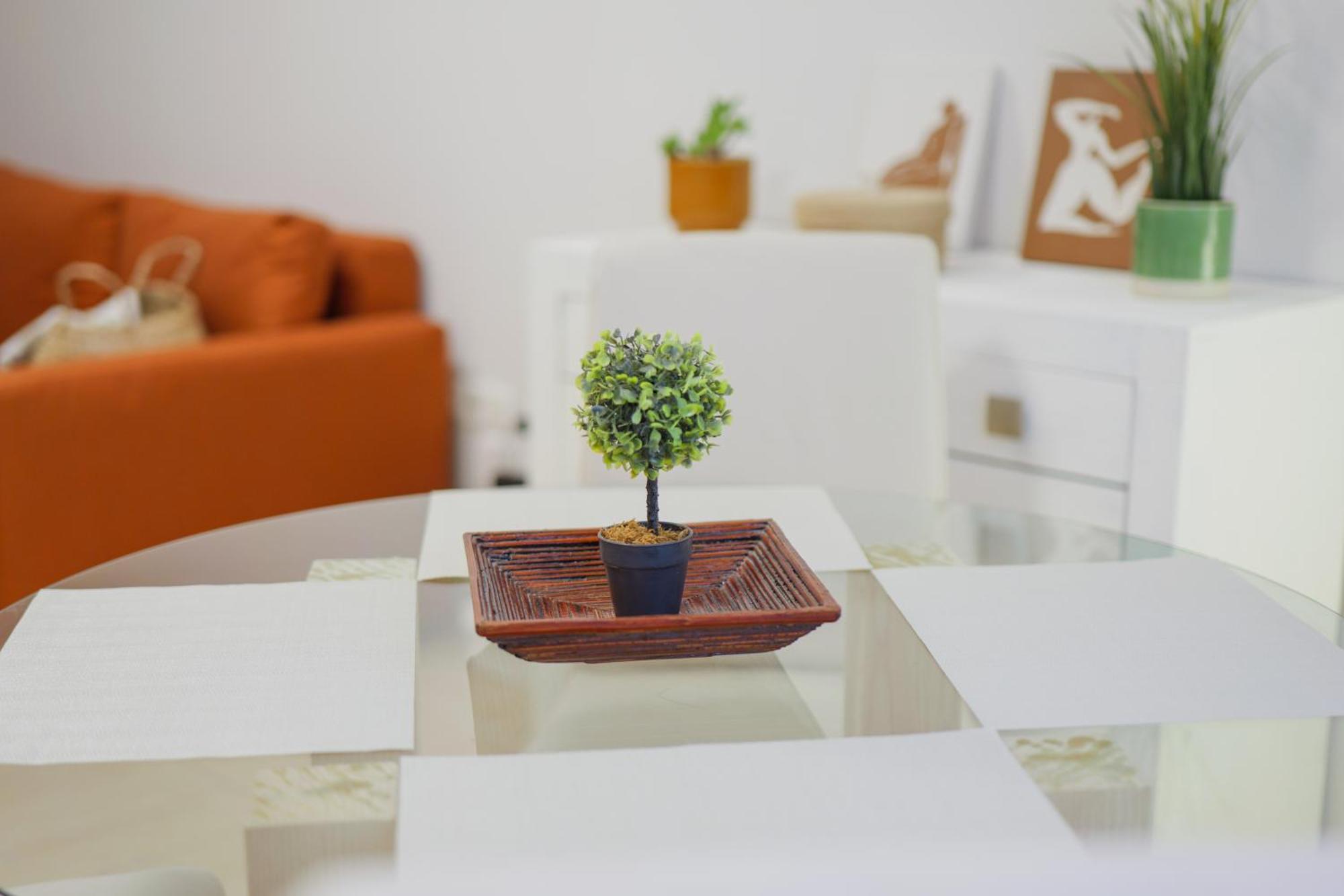 Apartment Cozy Carolina Ii *