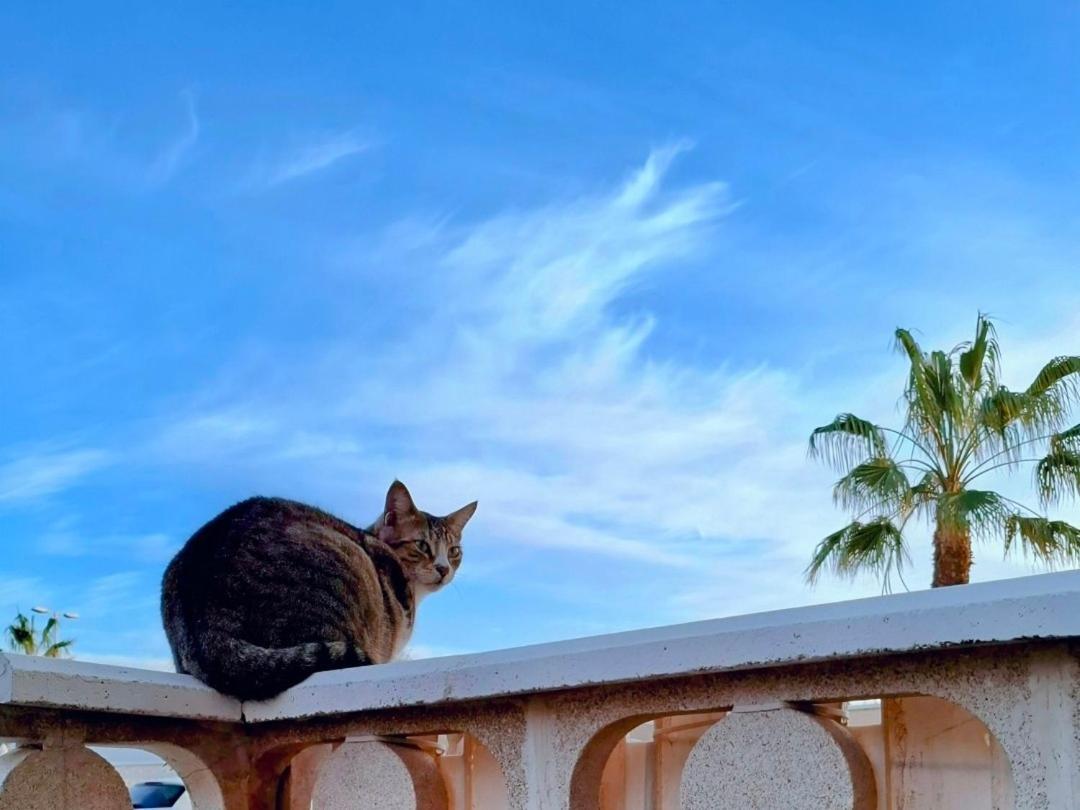 Pensión Doble Con Bano Y Terraza Privada