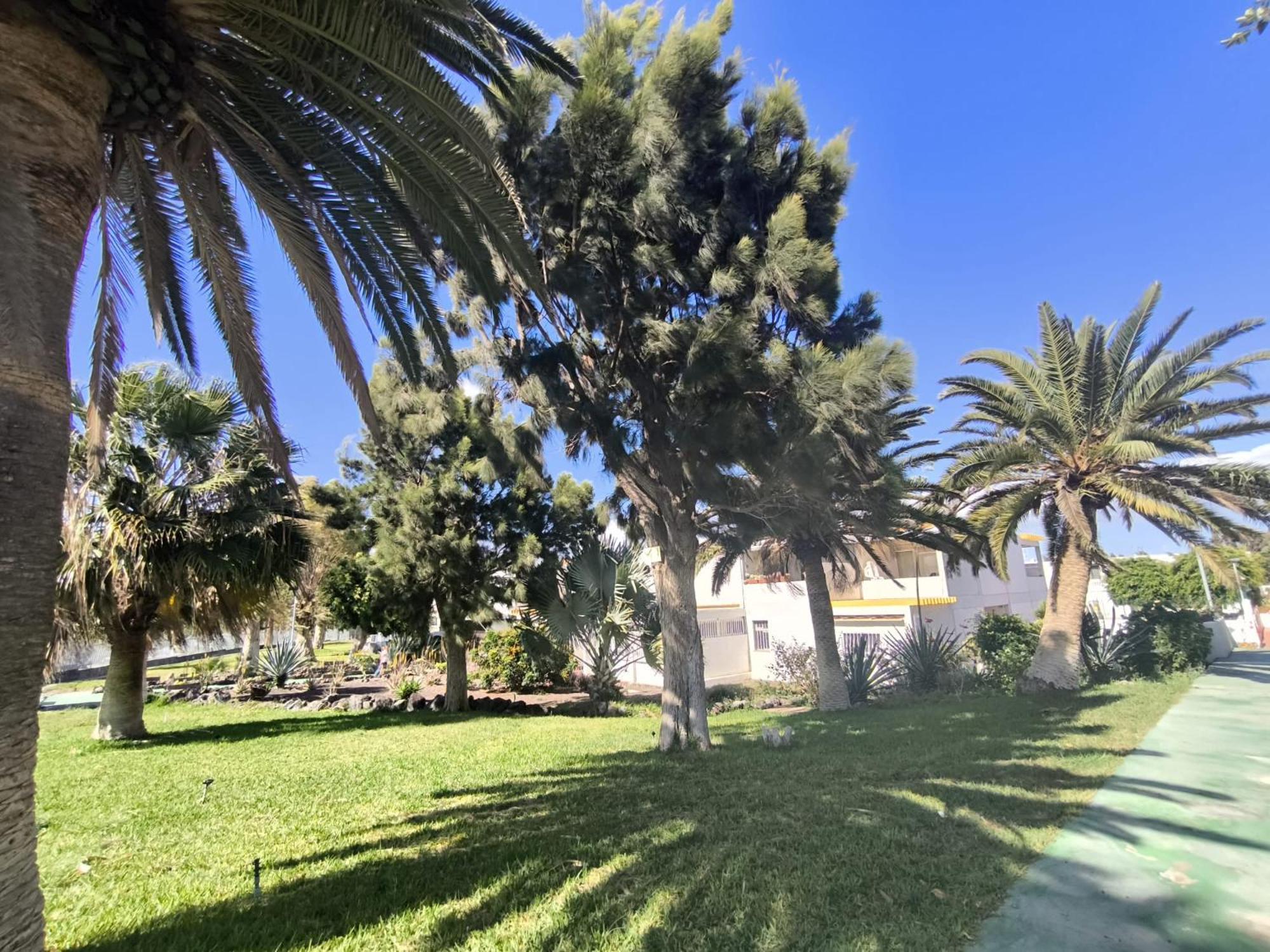 Apartment Rentenerife Canary Oasis Agarimo Costa Del Silencio