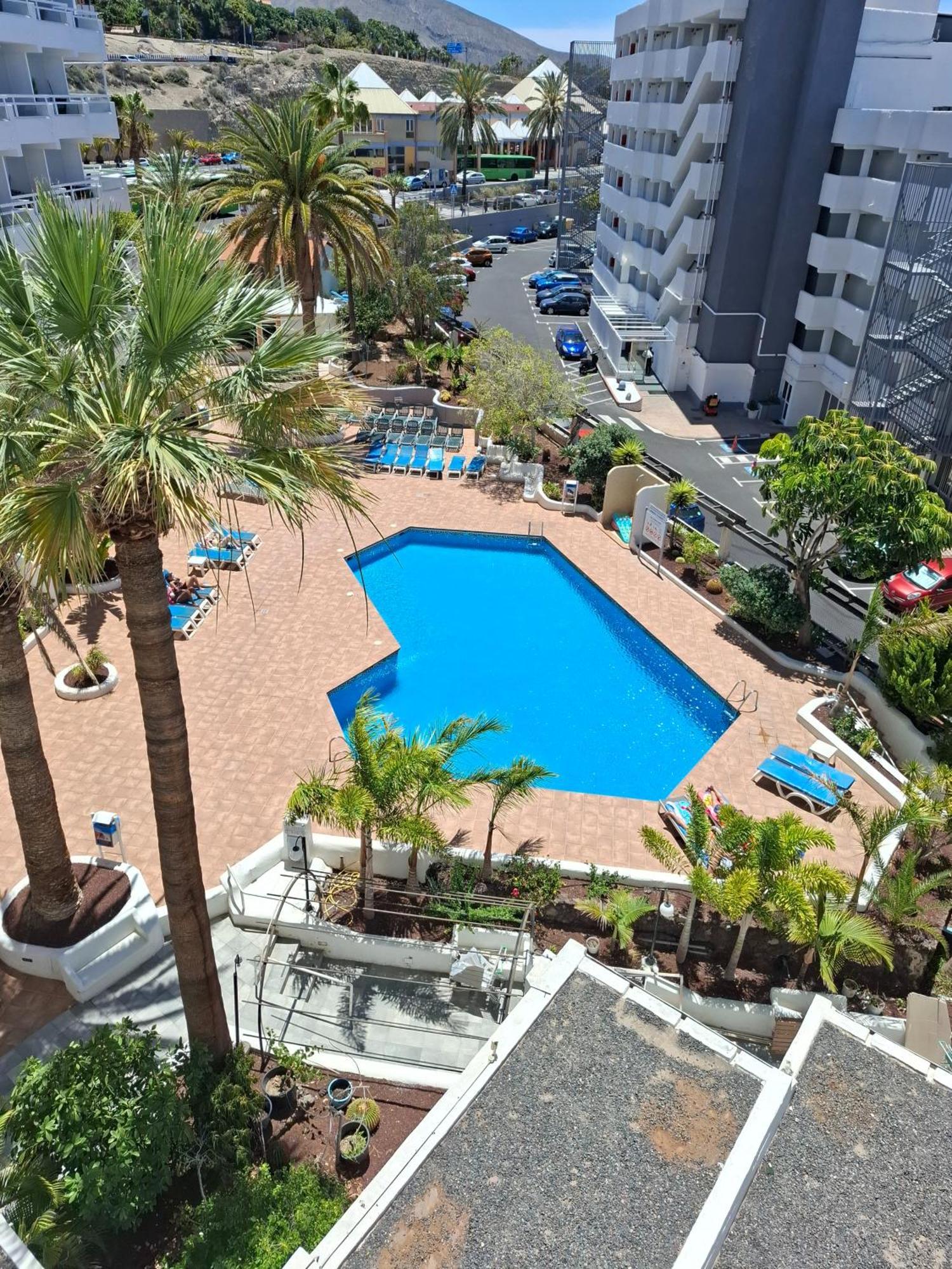 Apartment Under The Palm Playa de las Americas (Tenerife)