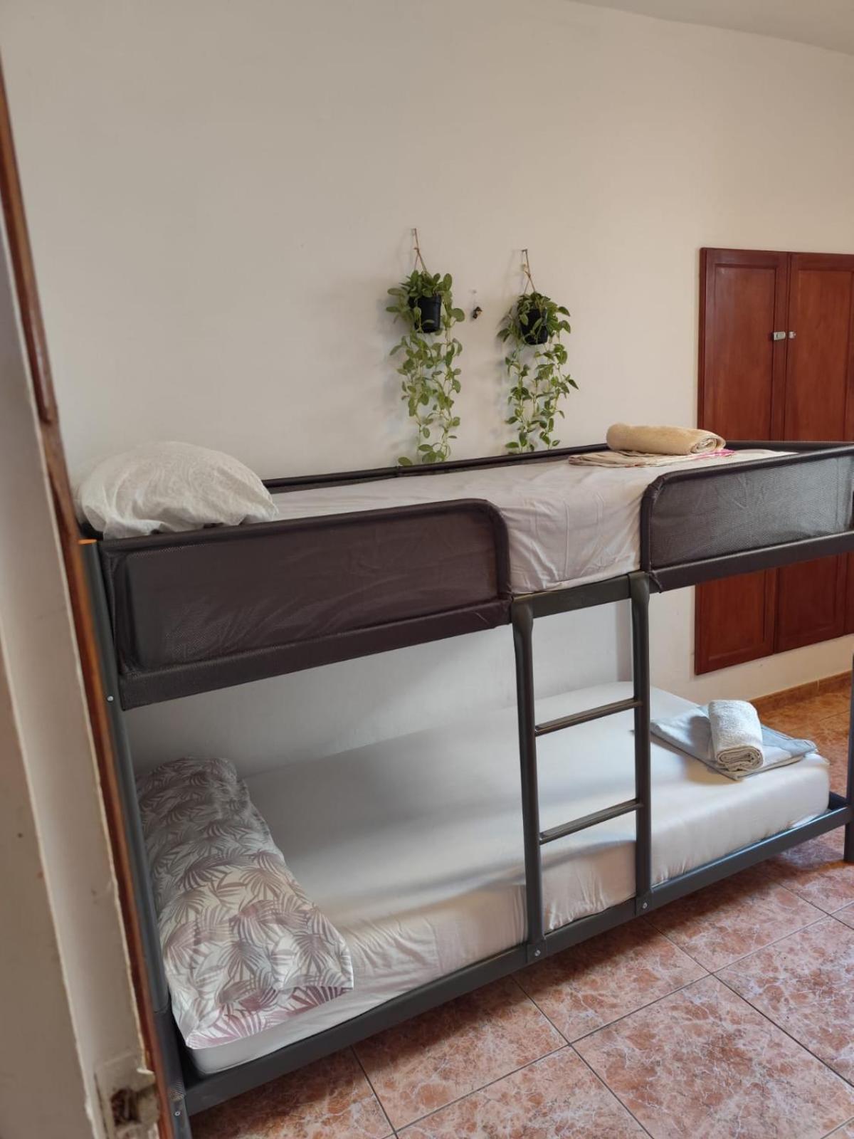 Banana Surf House Guest house Los Cristianos (Tenerife)